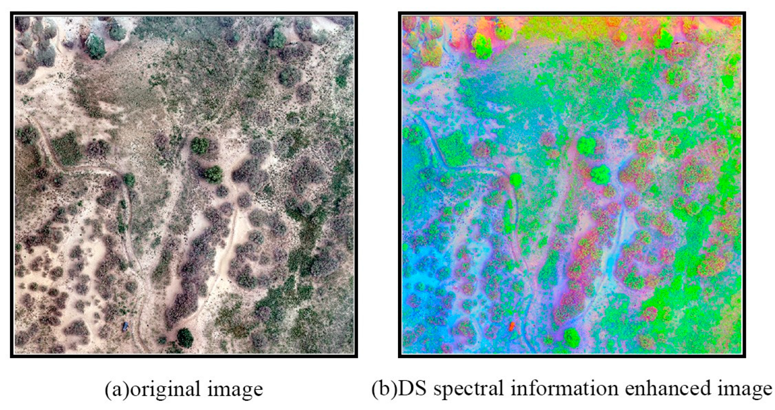 Forests 14 01943 g006 Forests 14 01943 g006