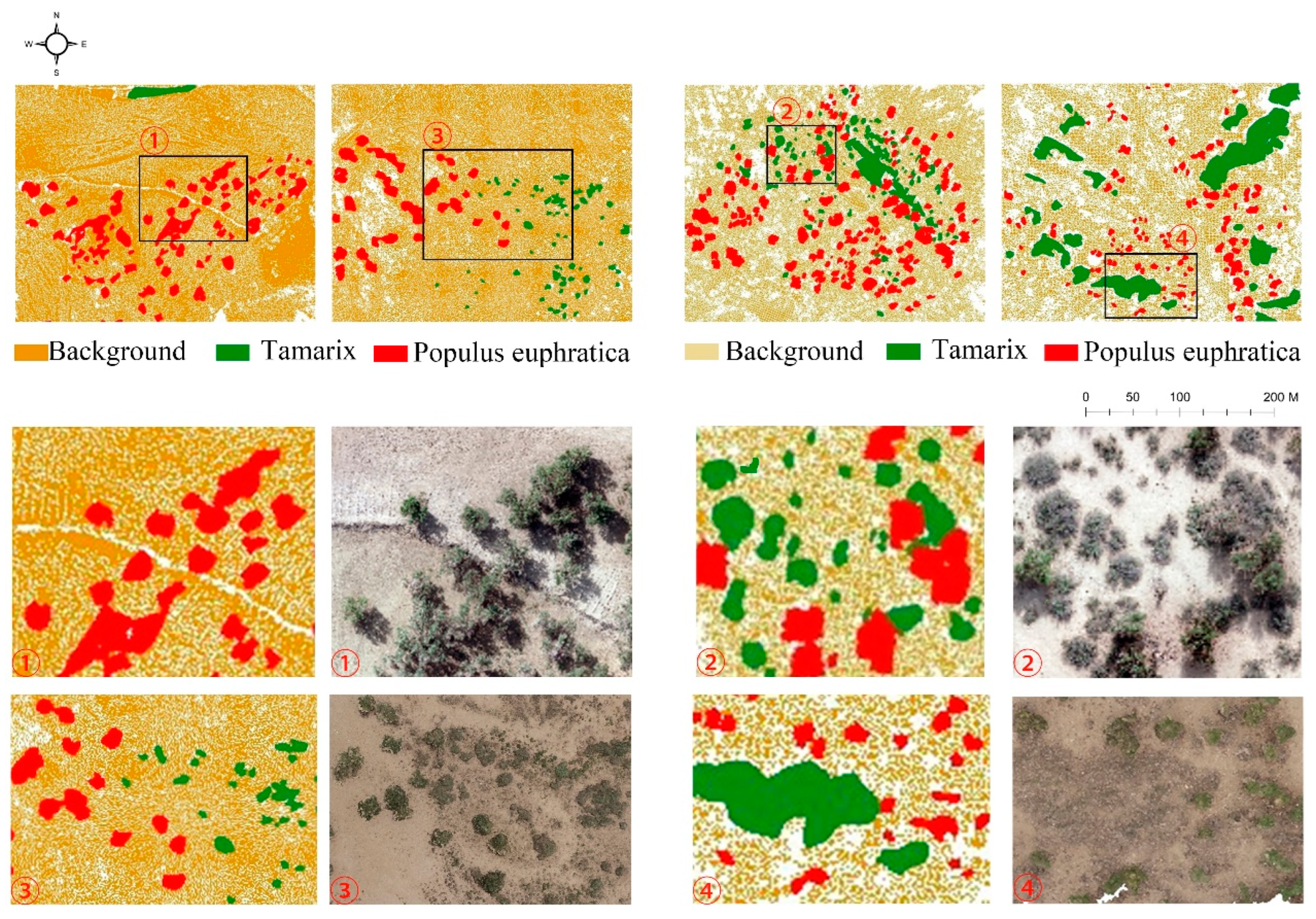 Forests 14 01943 g009 Forests 14 01943 g009