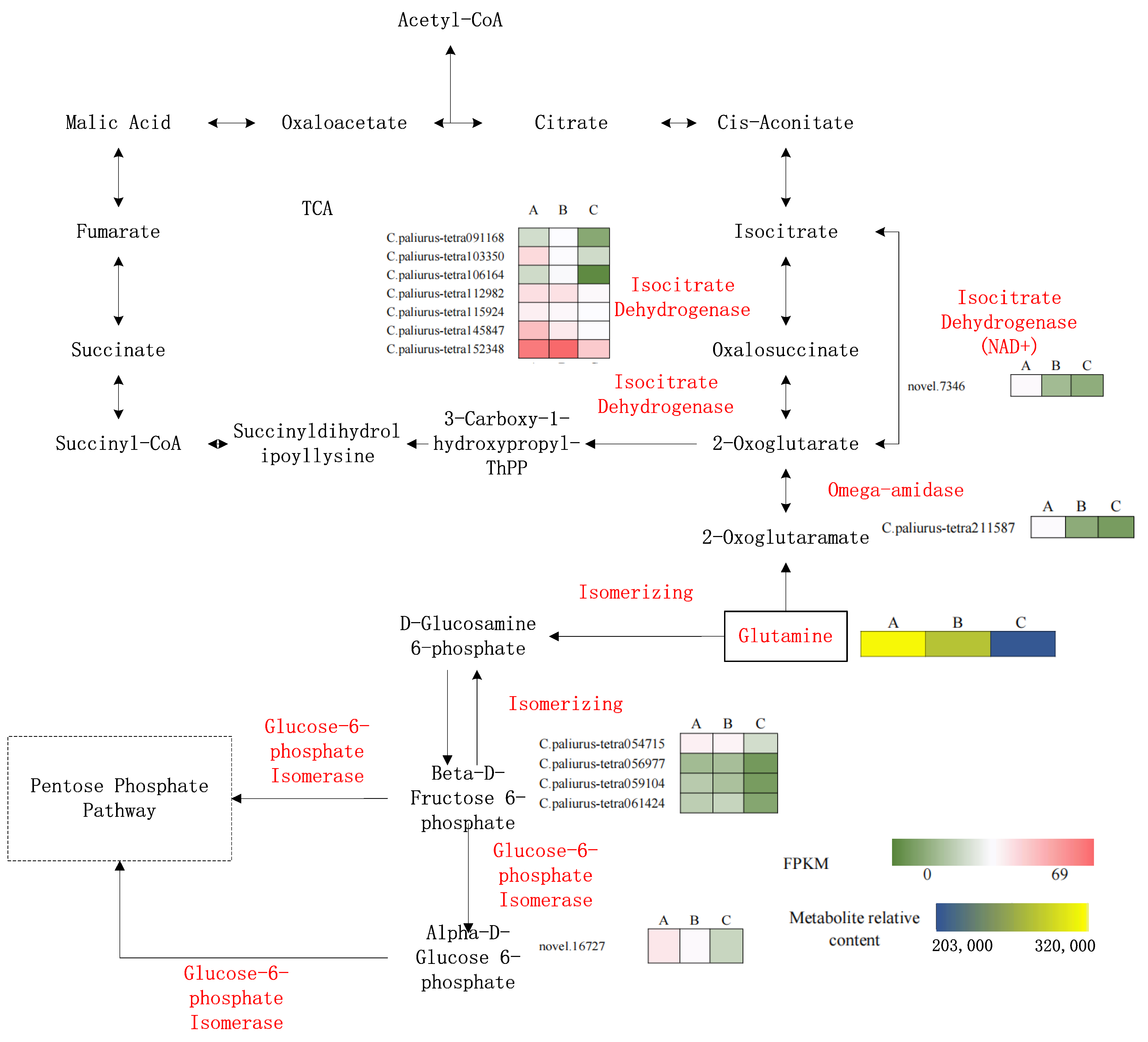 Forests 14 01948 g005