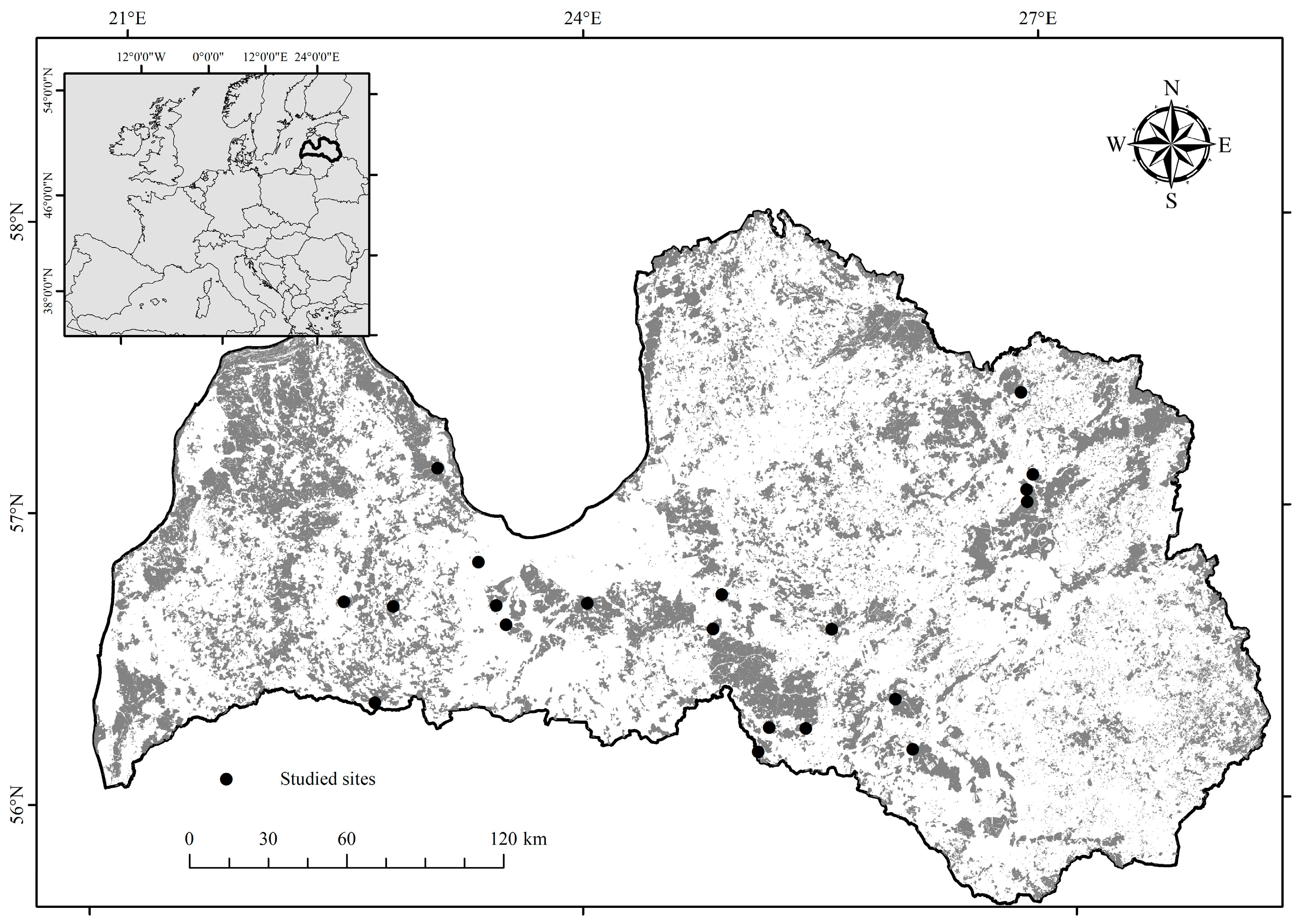 Forests 14 01949 g001