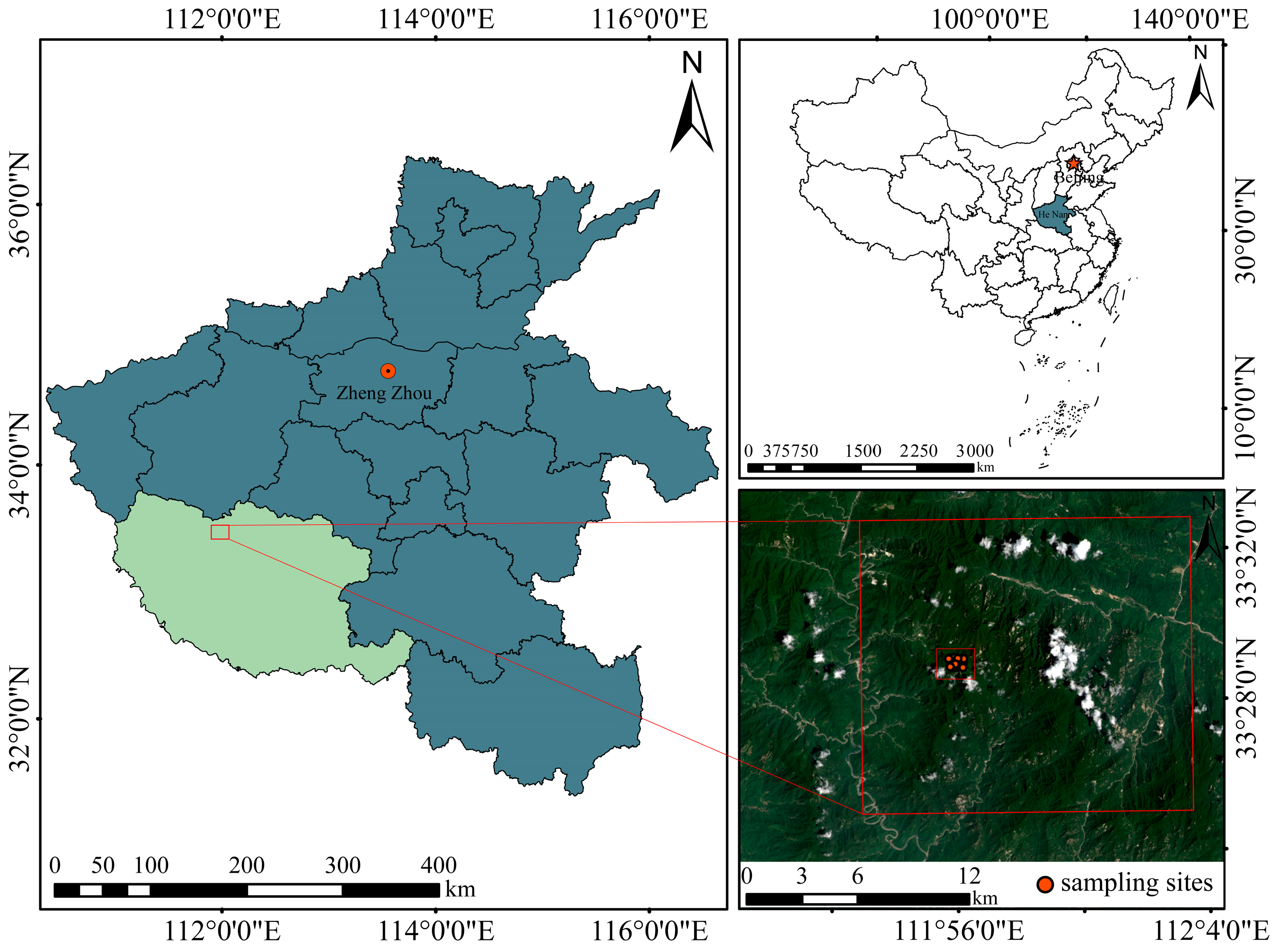 Forests 14 01956 g001
