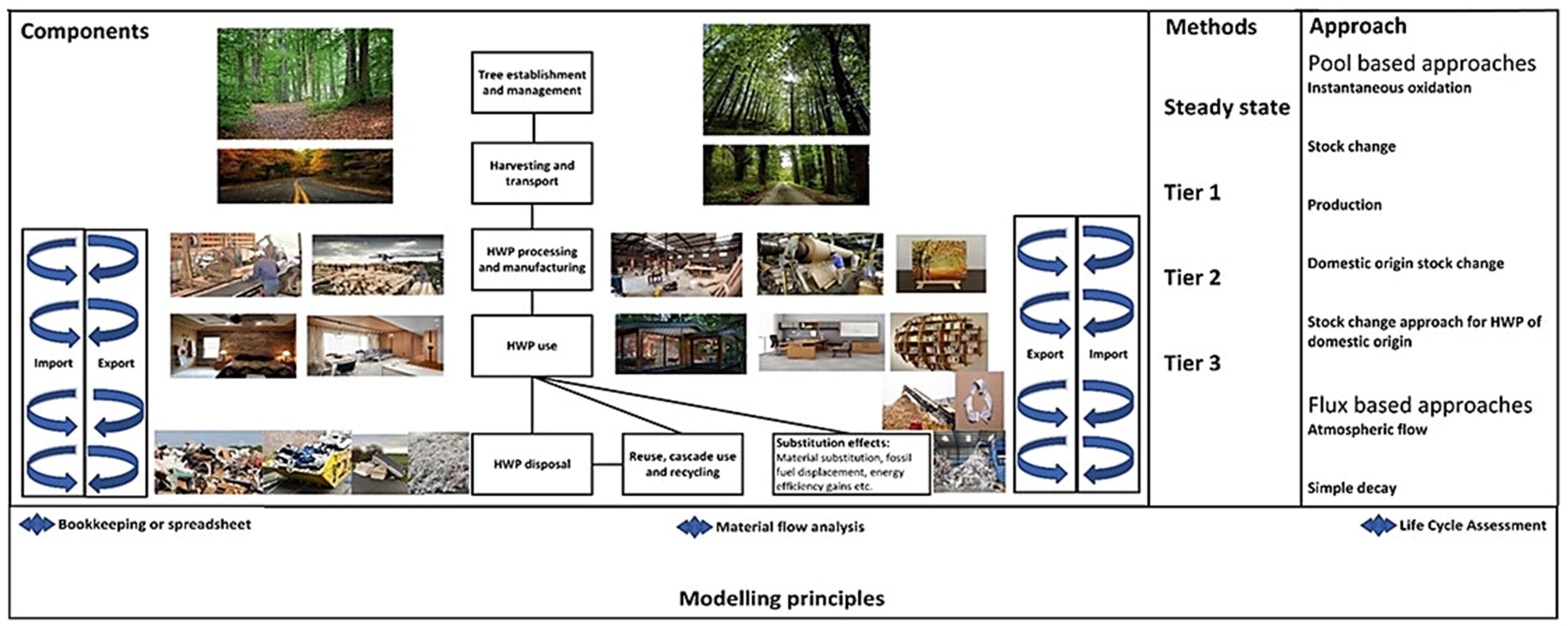 Forests 14 01959 g002