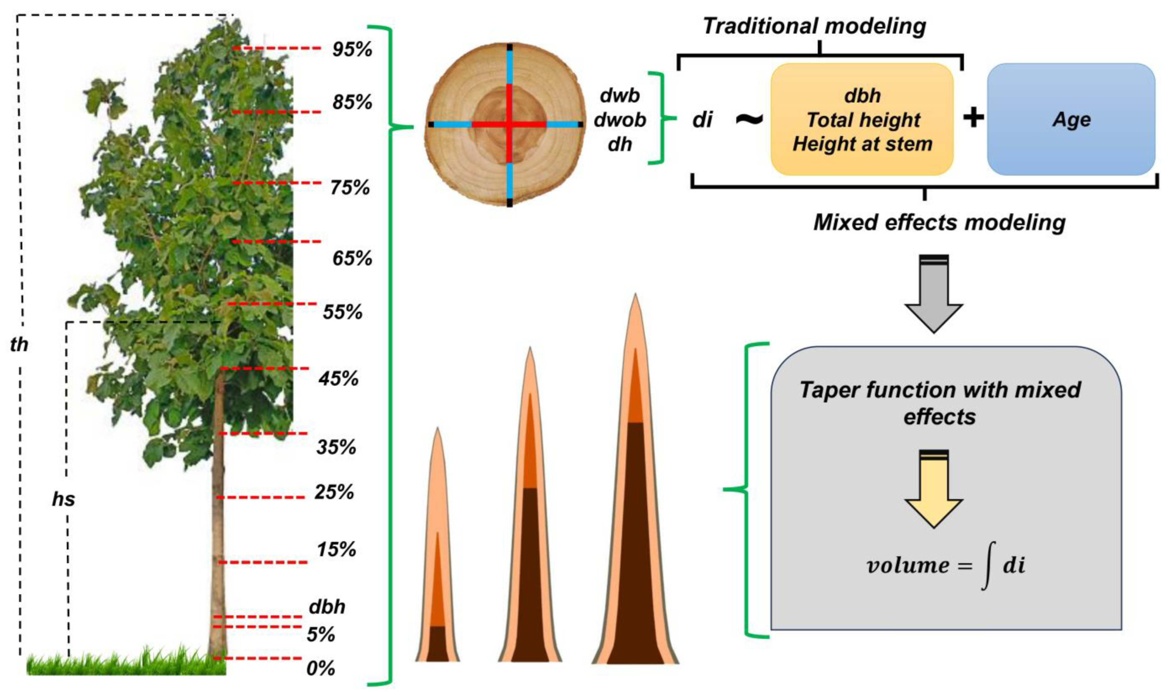 Forests 14 01962 g002