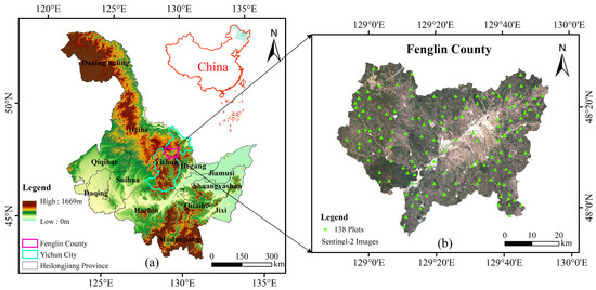 Estimation of Above-Ground Carbon Storage and Light