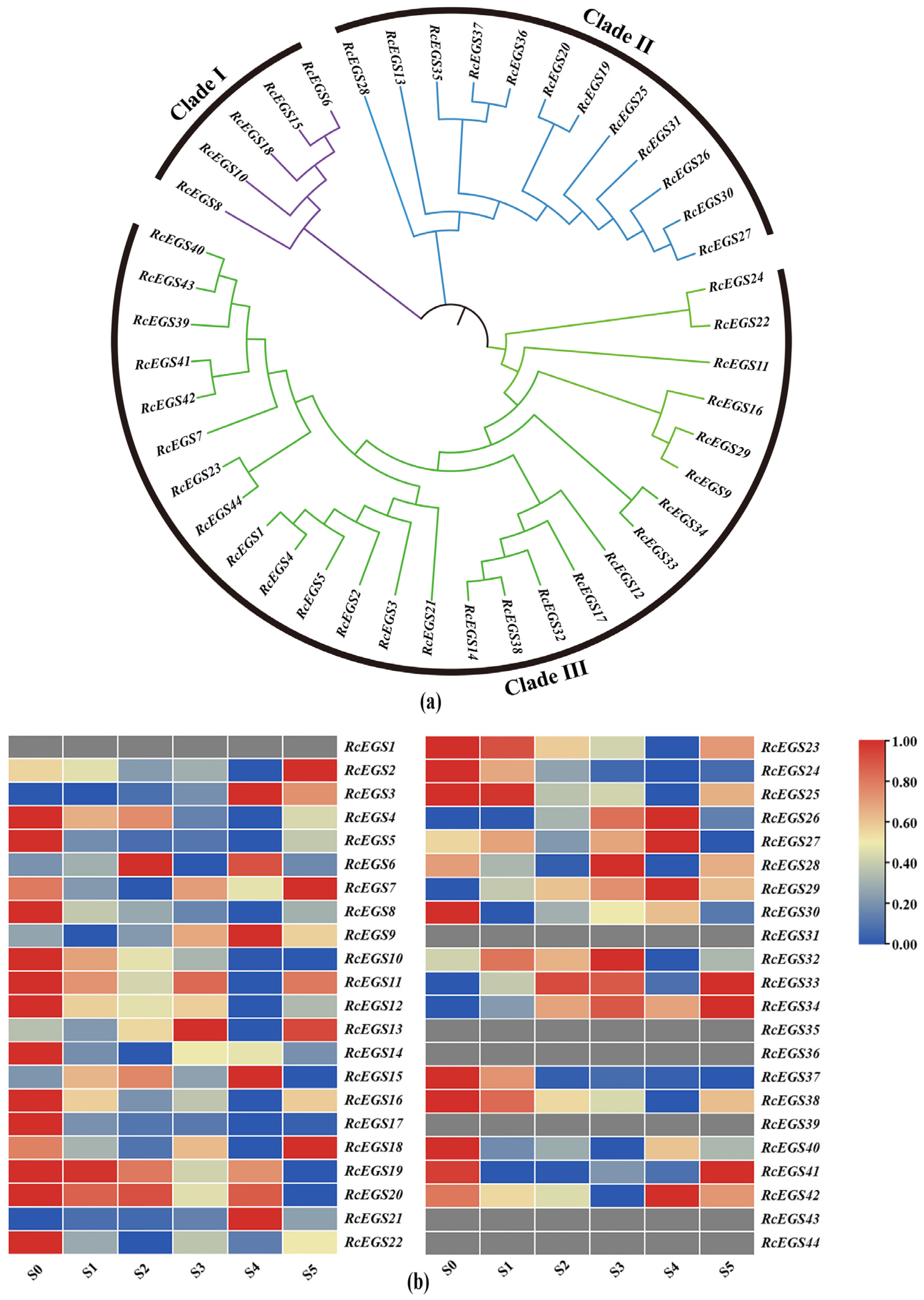 Forests 14 01973 g007