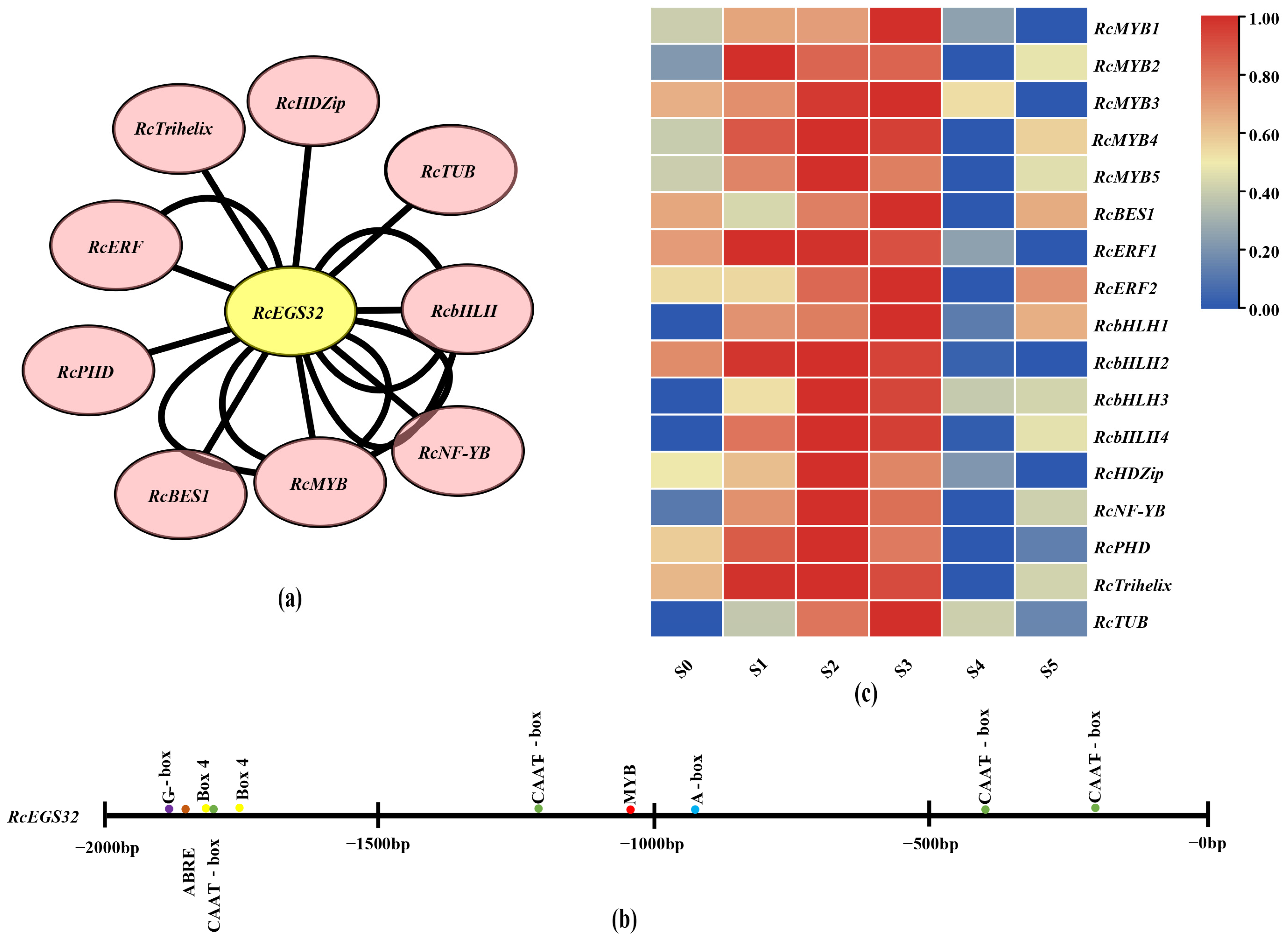 Forests 14 01973 g009