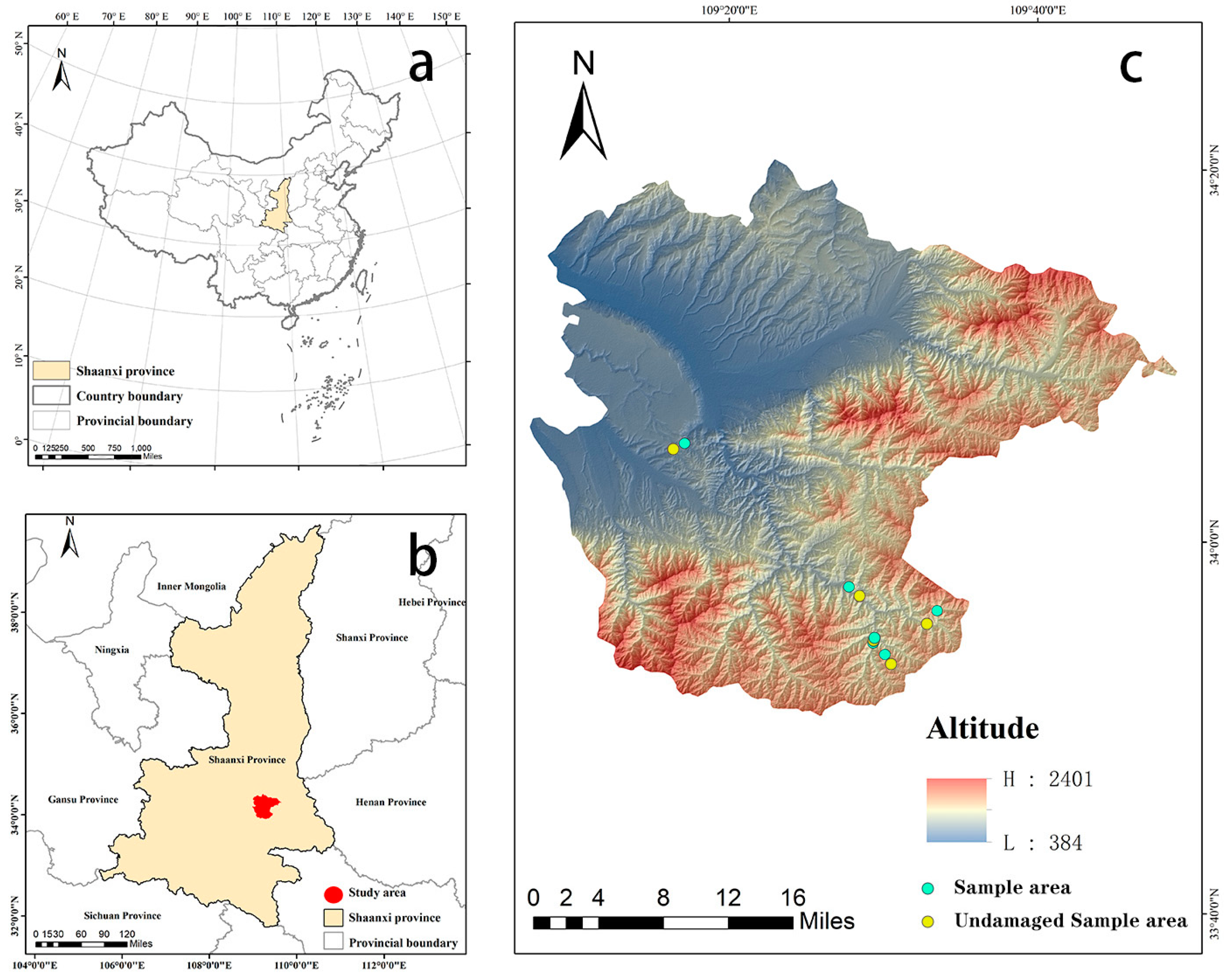 Forests 14 01974 g001