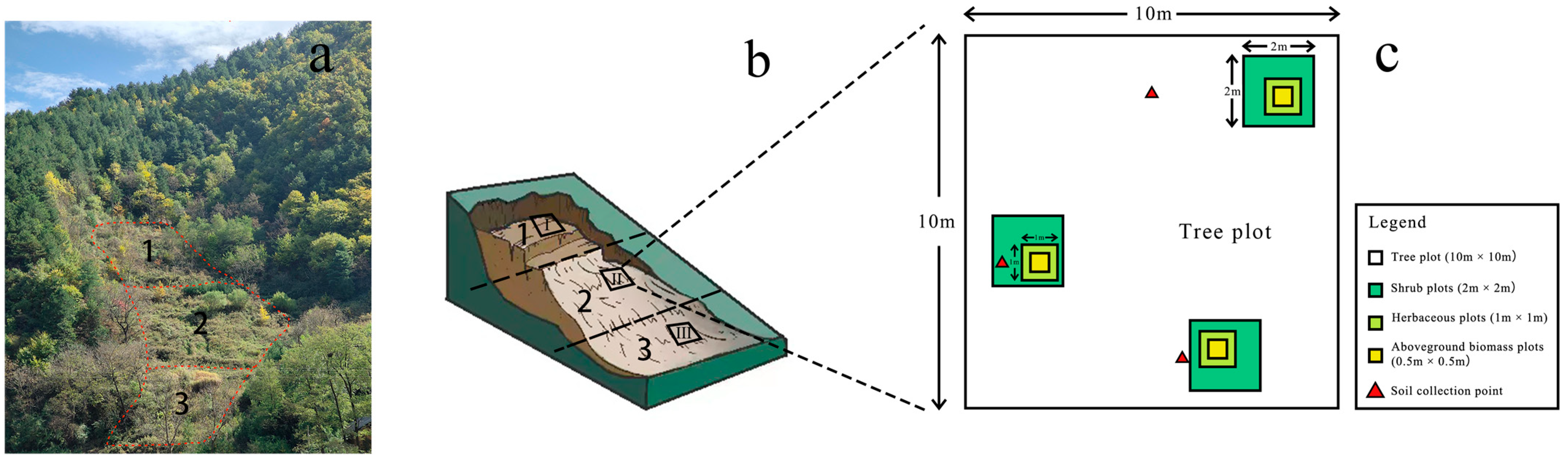Forests 14 01974 g002