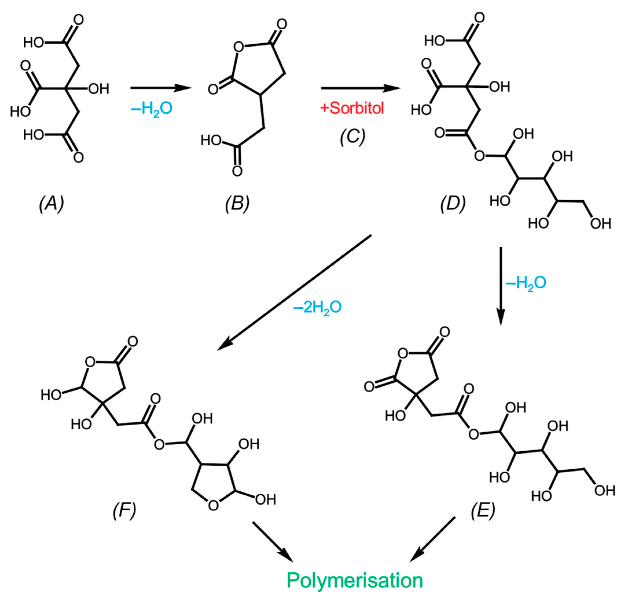 Forests 14 01976 g001