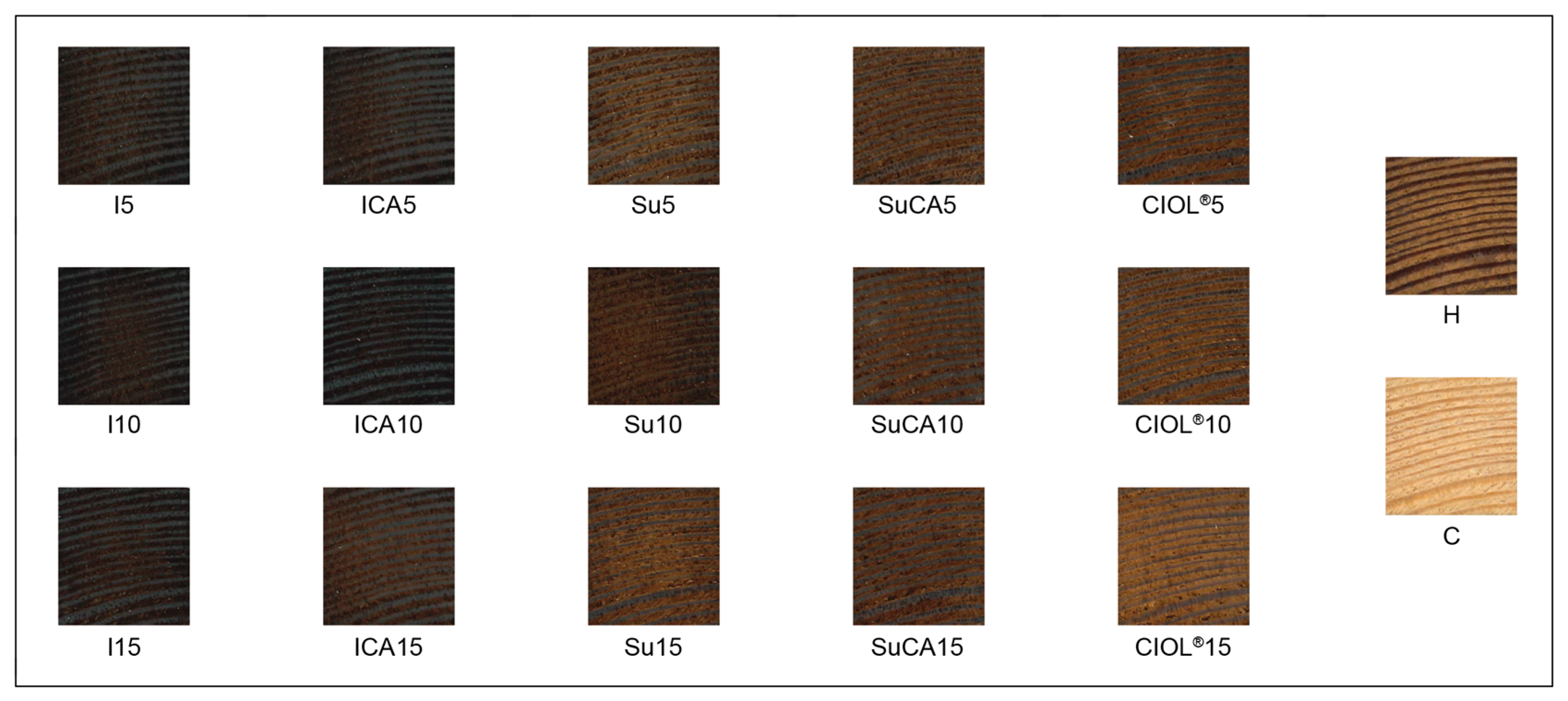 Forests 14 01976 g003