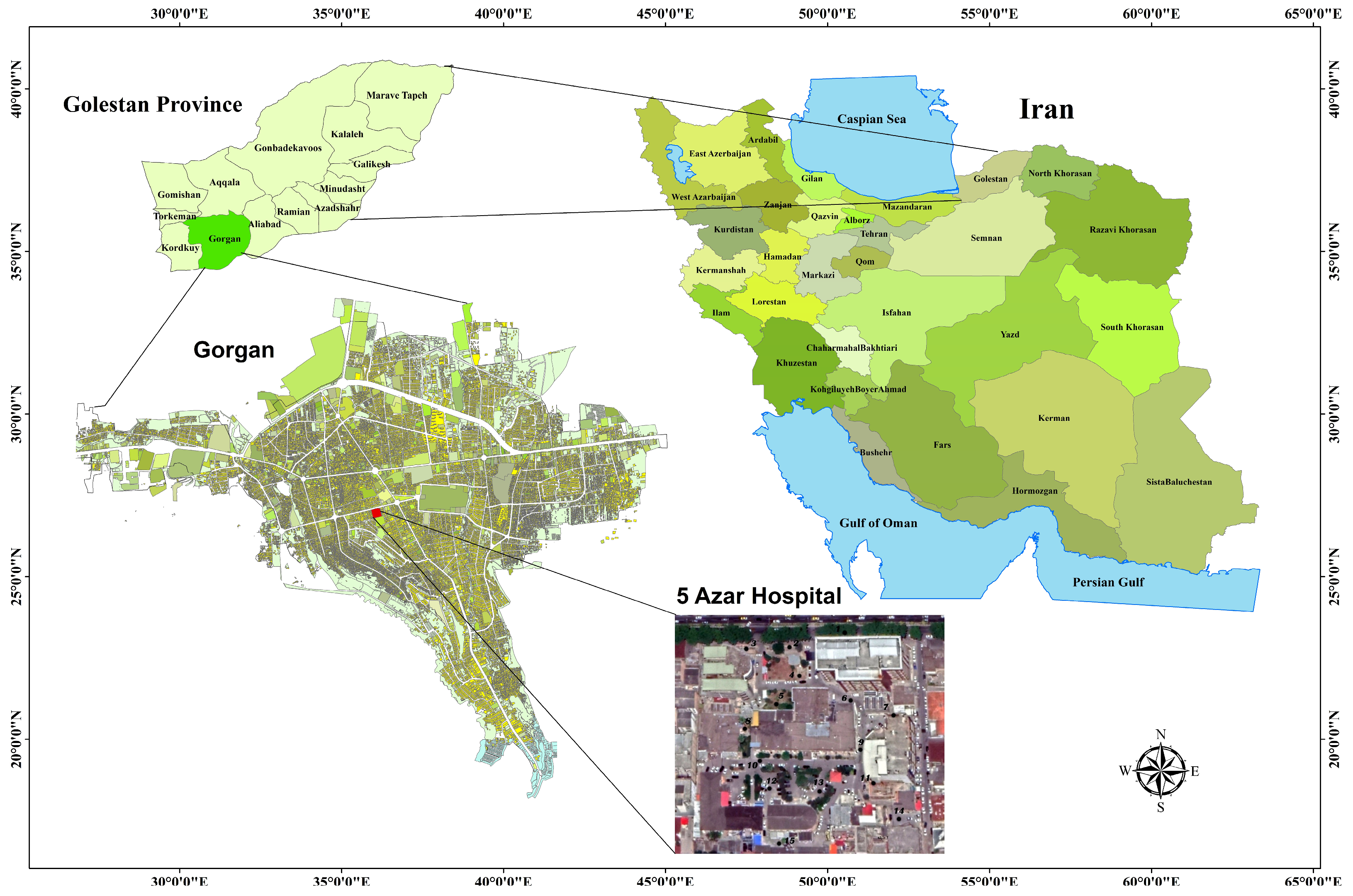 Forests 14 01978 g001