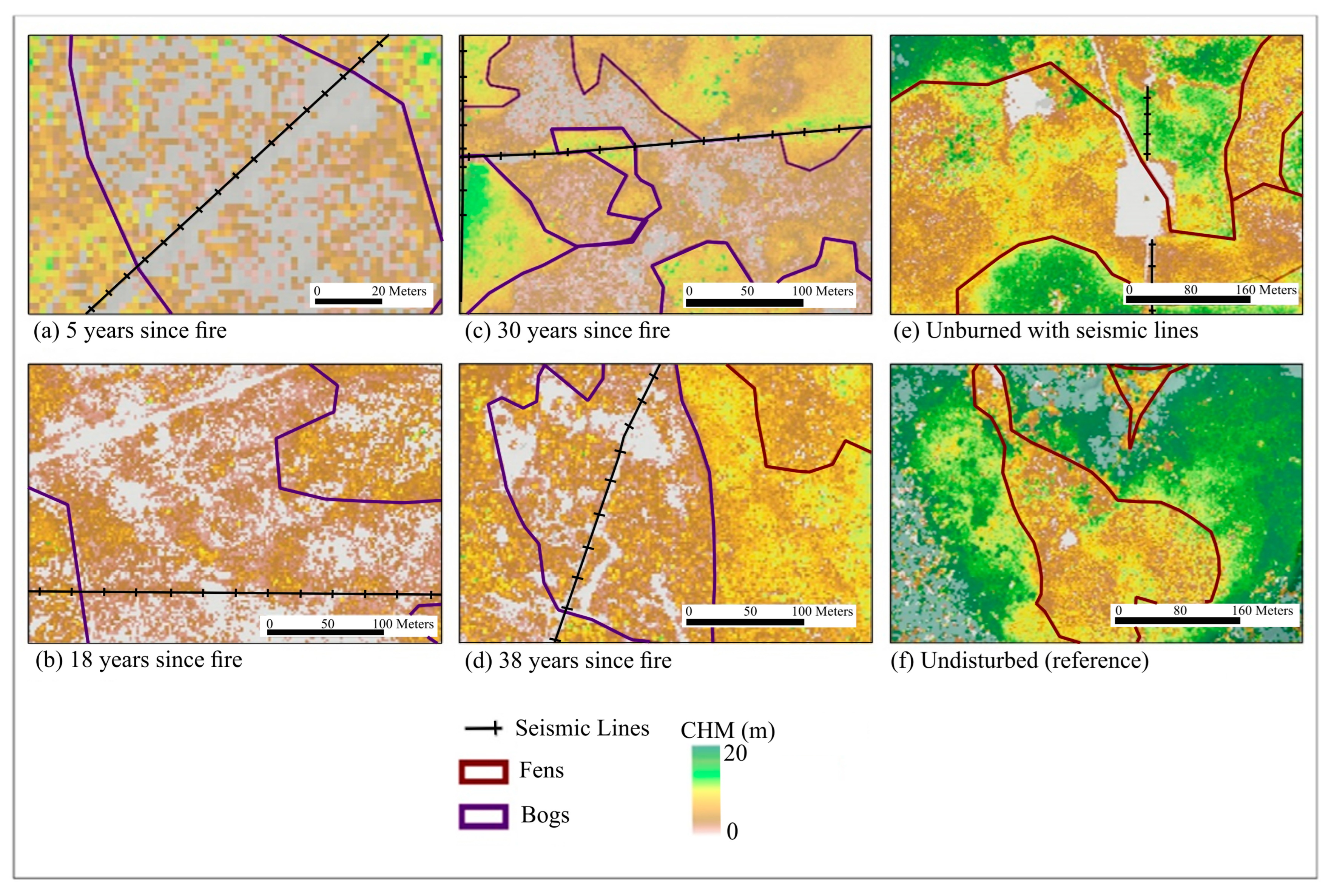 Forests 14 01979 g002