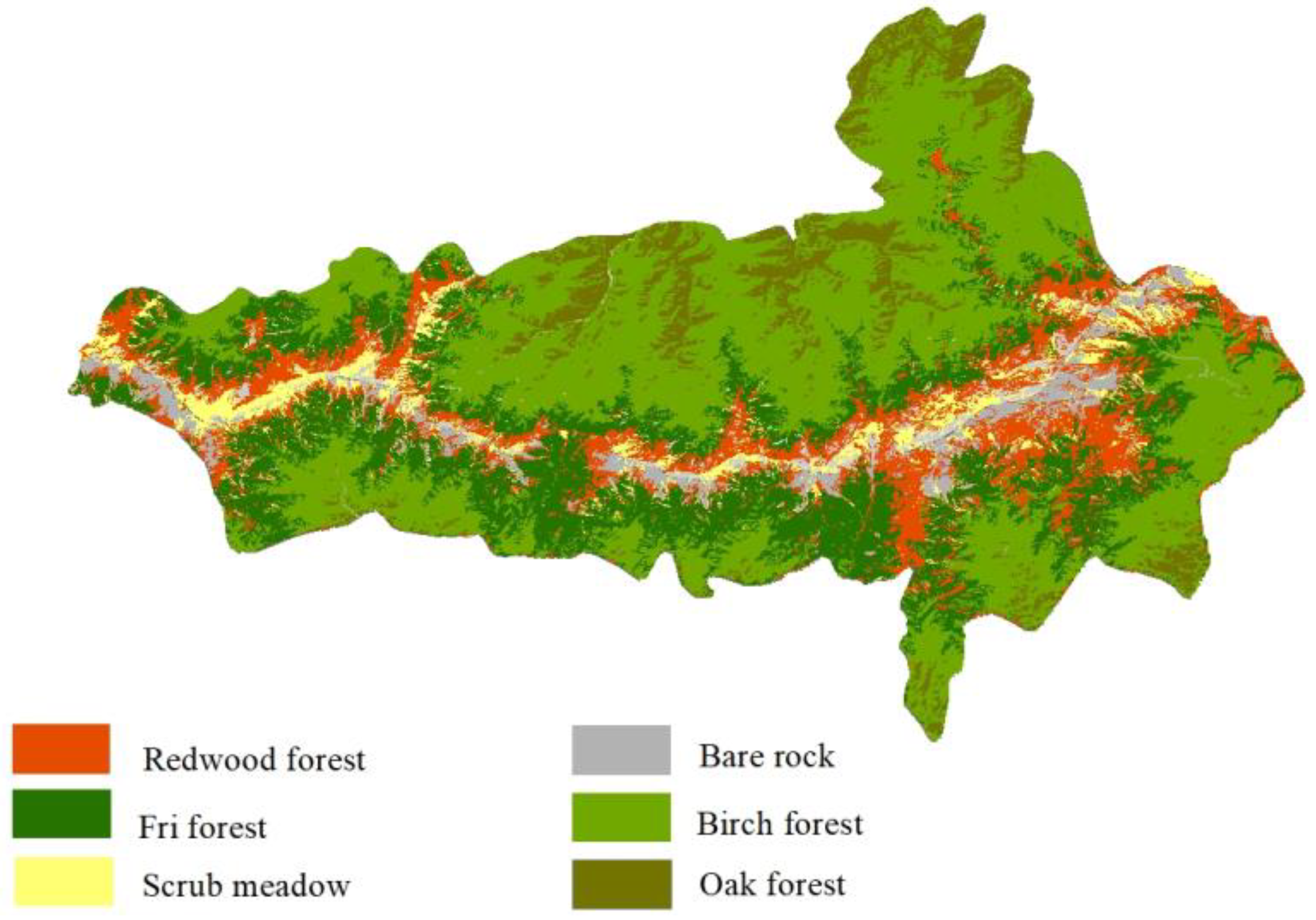 Forests 14 01981 g005