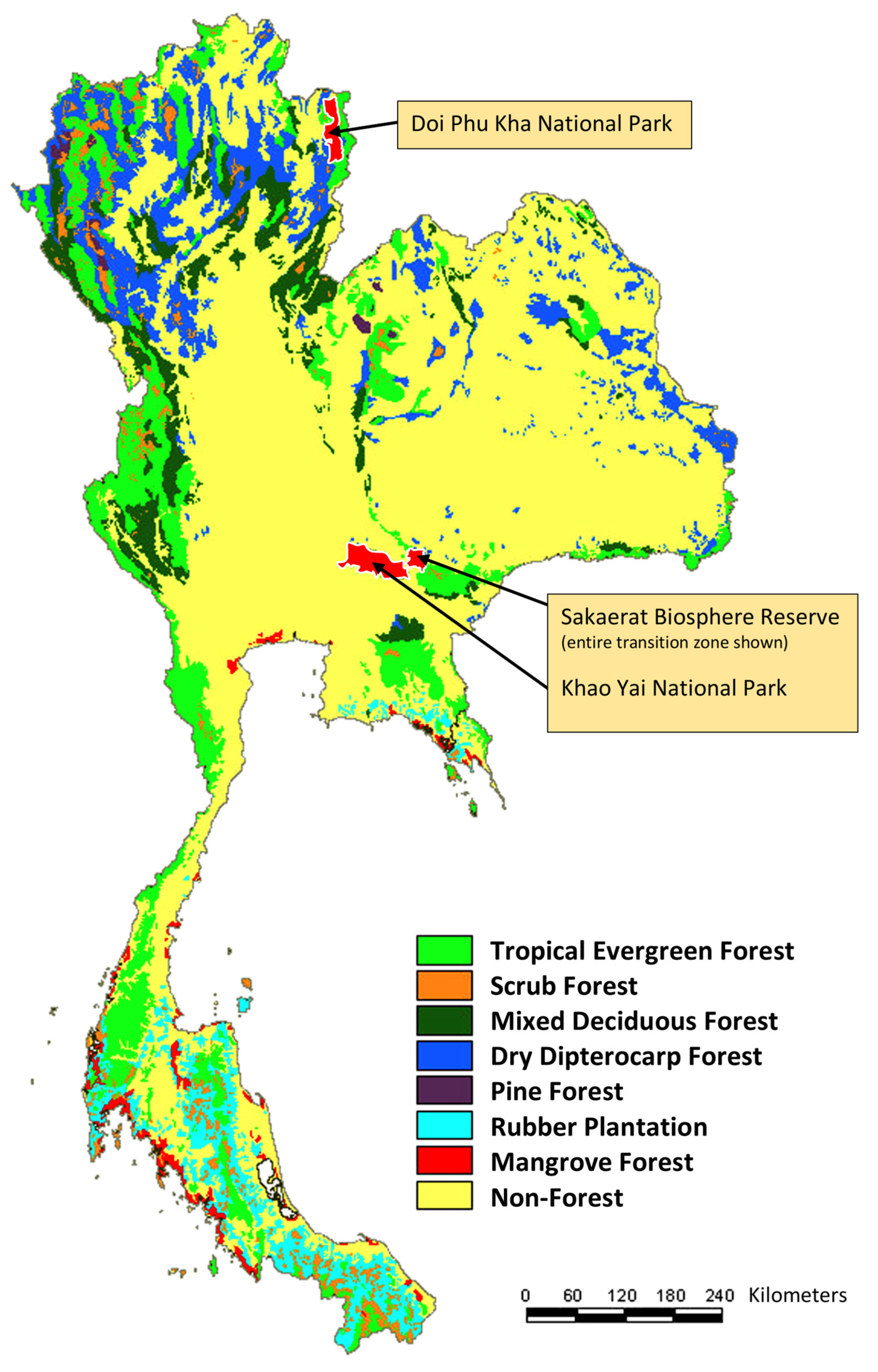 Forests 14 01991 g001