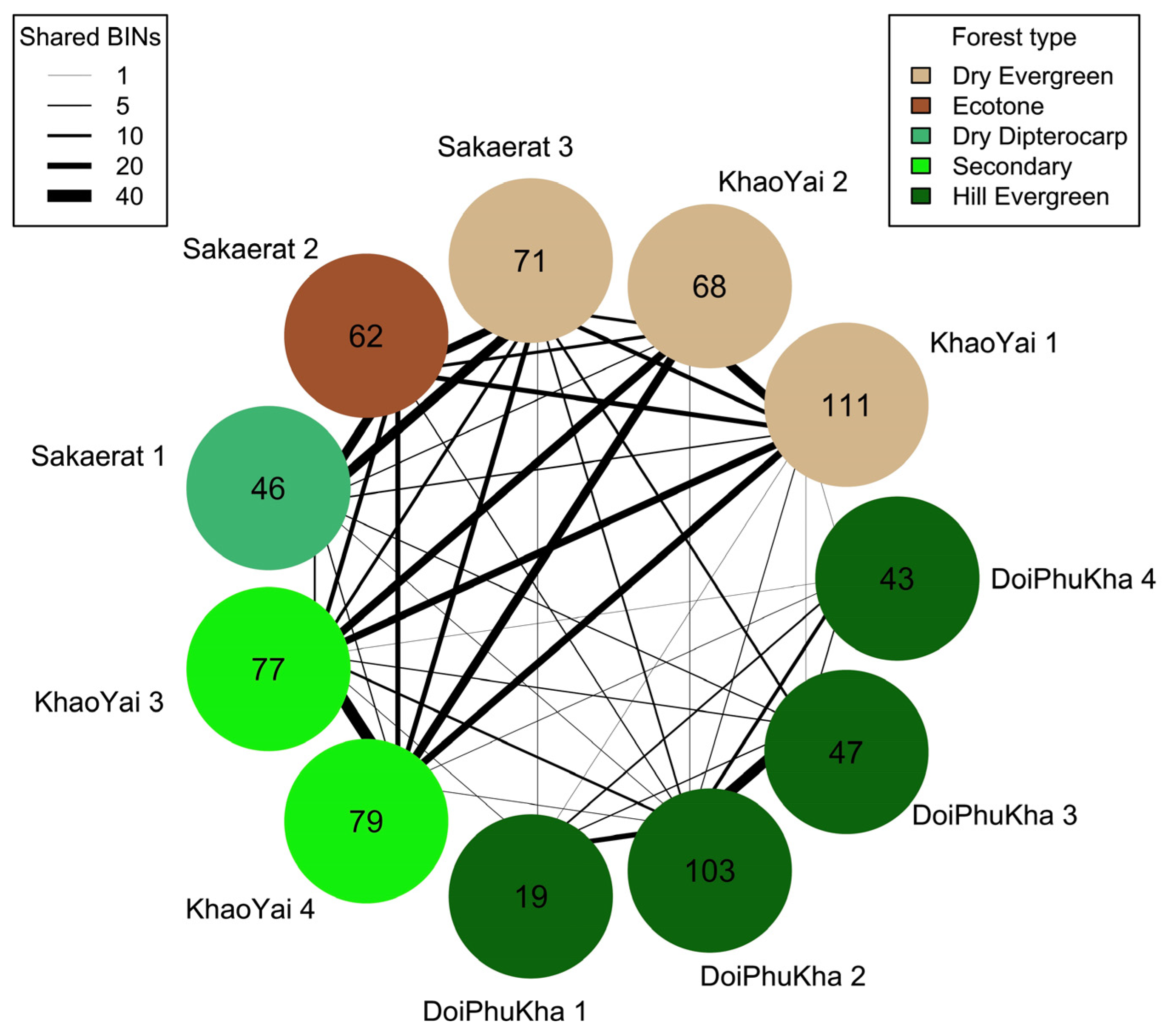Forests 14 01991 g010