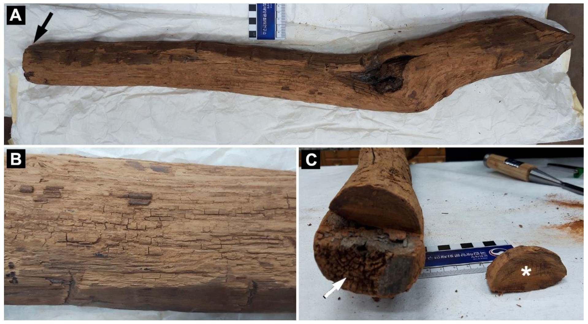 Forests 14 01992 g001