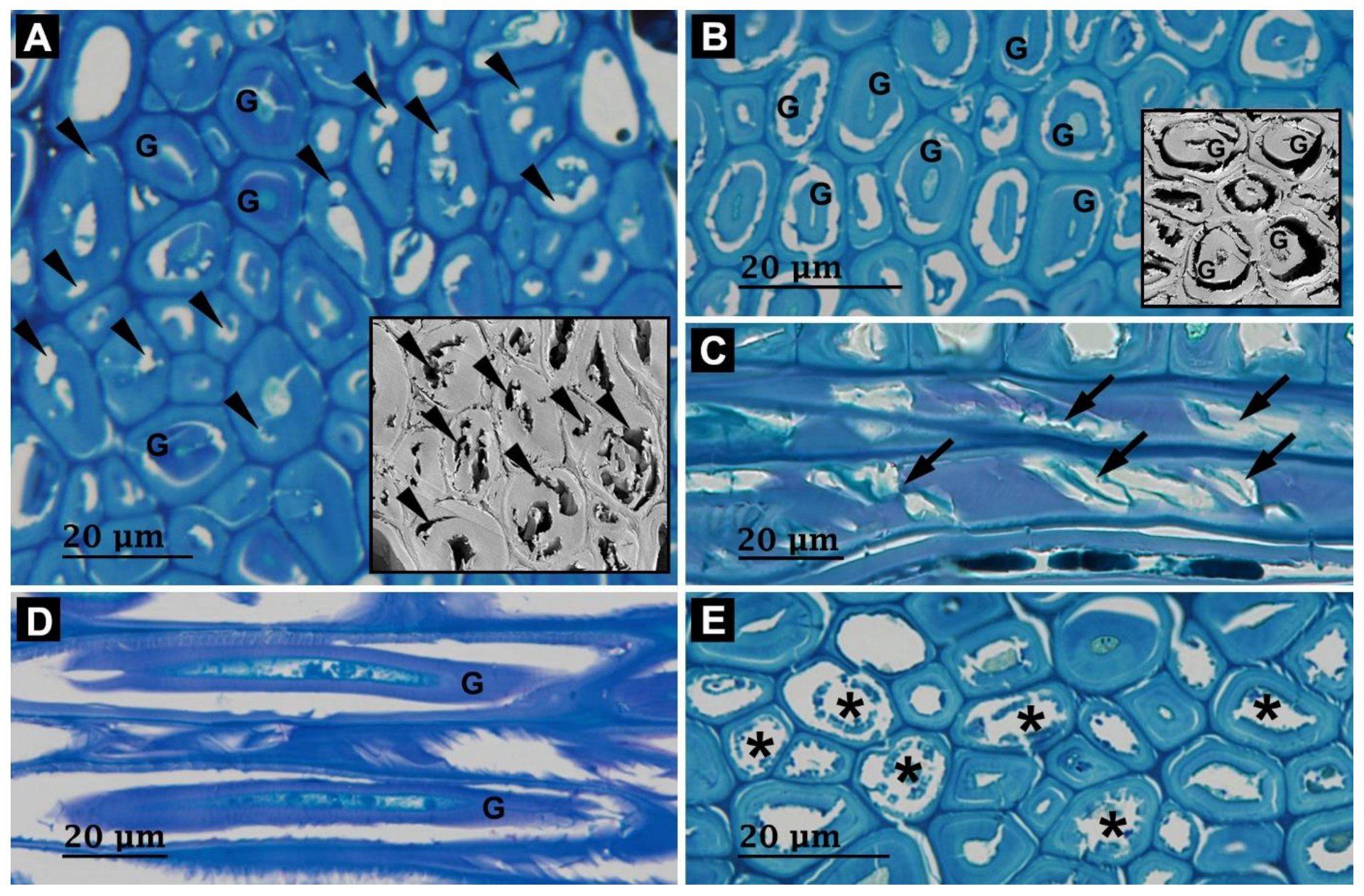 Forests 14 01992 g003