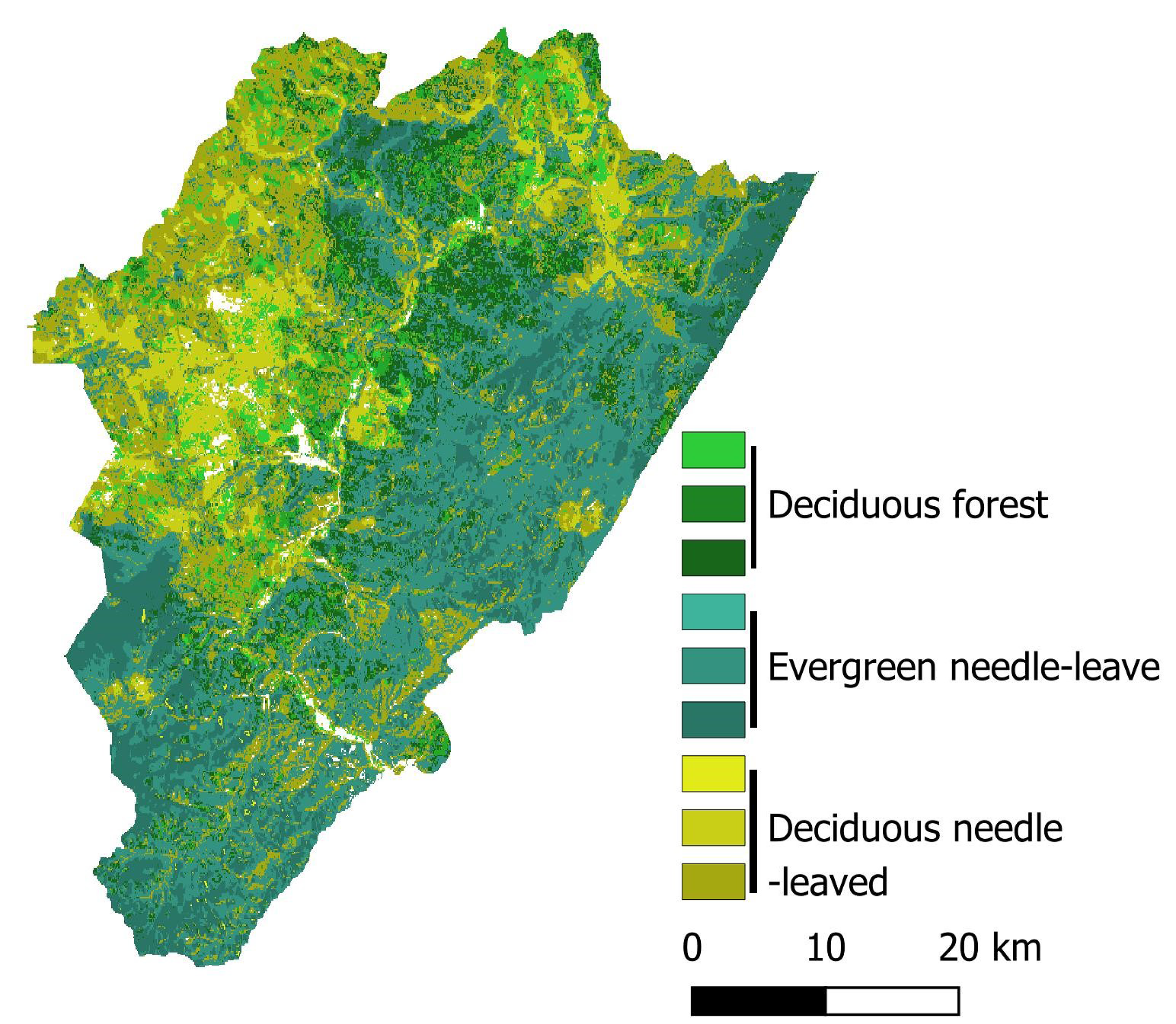 Forests 14 01995 g005