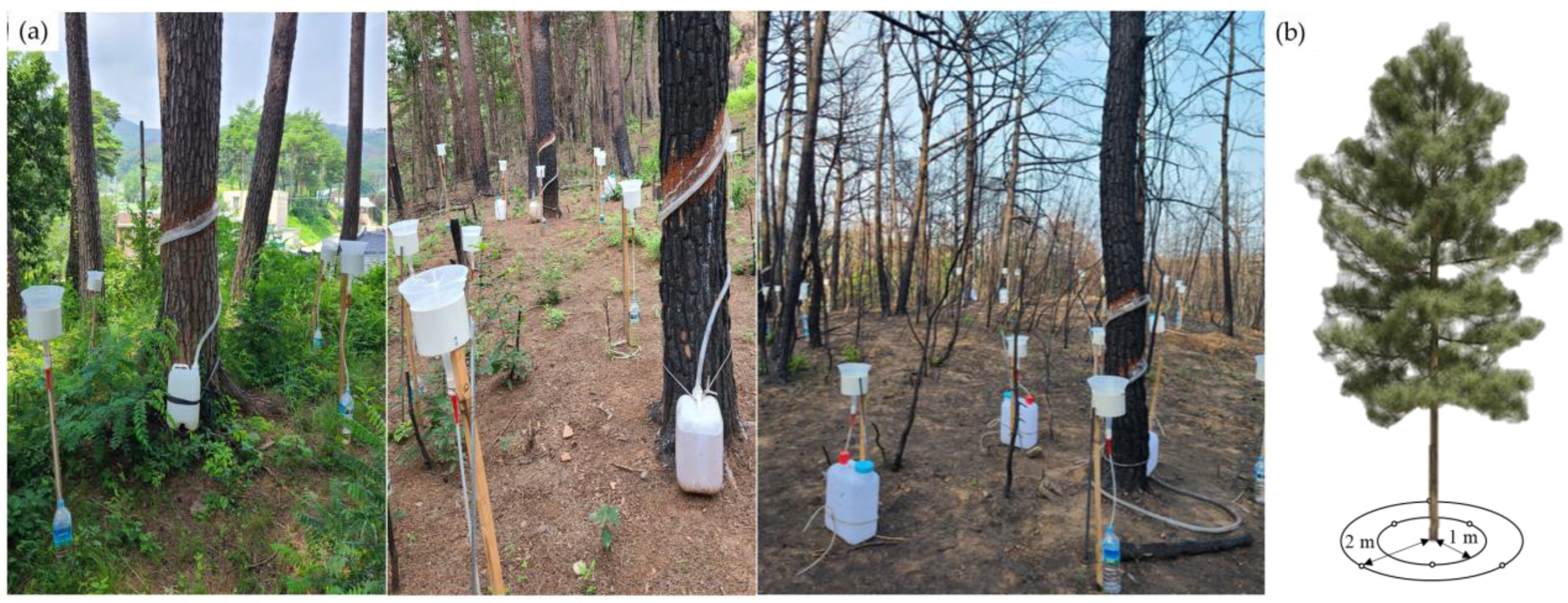 Forests 14 01996 g002