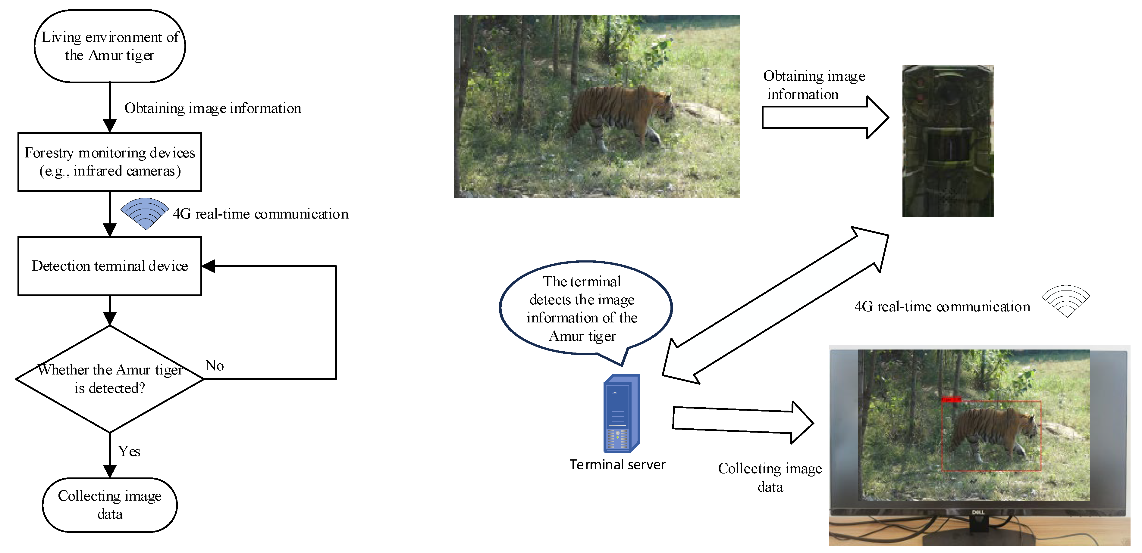 Forests 14 02000 g002