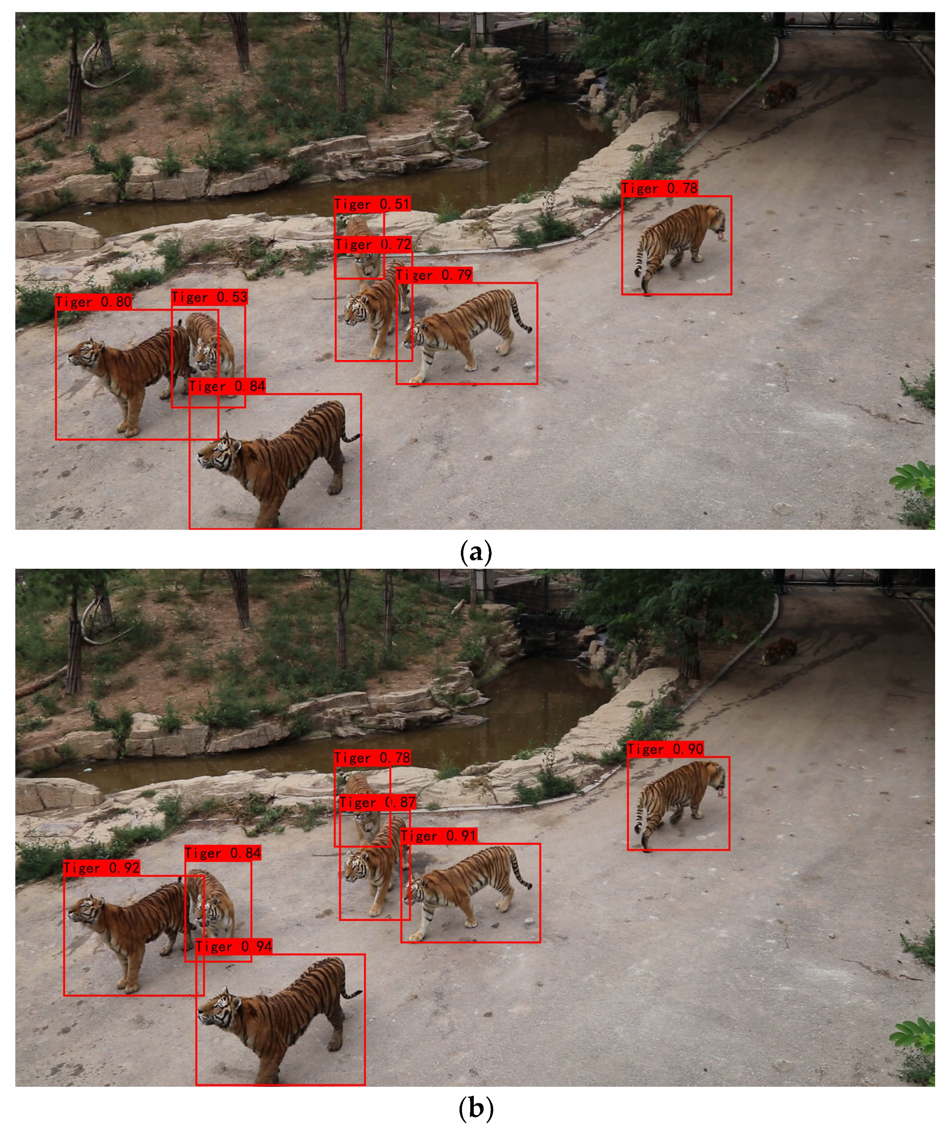 Forests 14 02000 g006