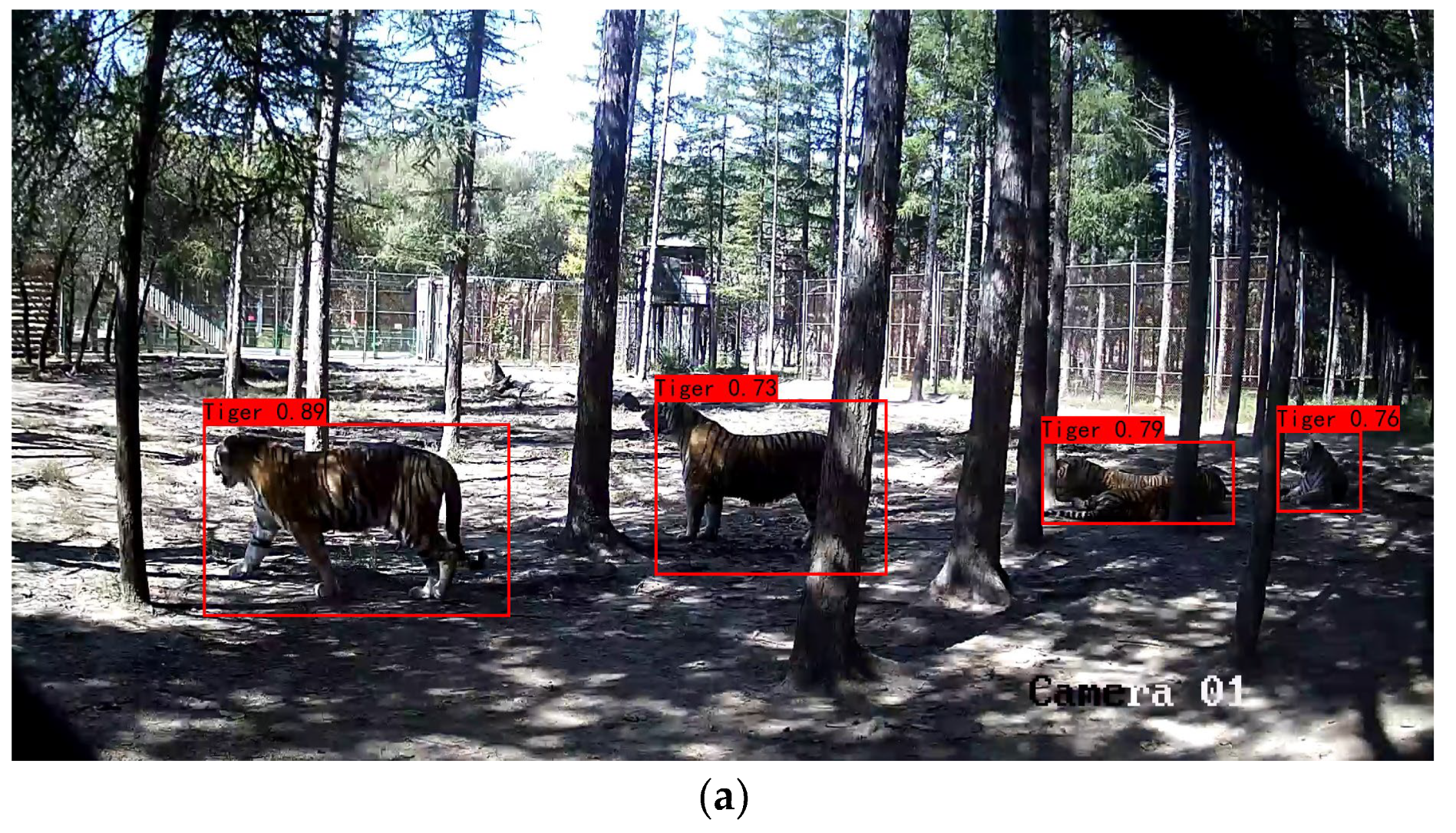 Forests 14 02000 g007a