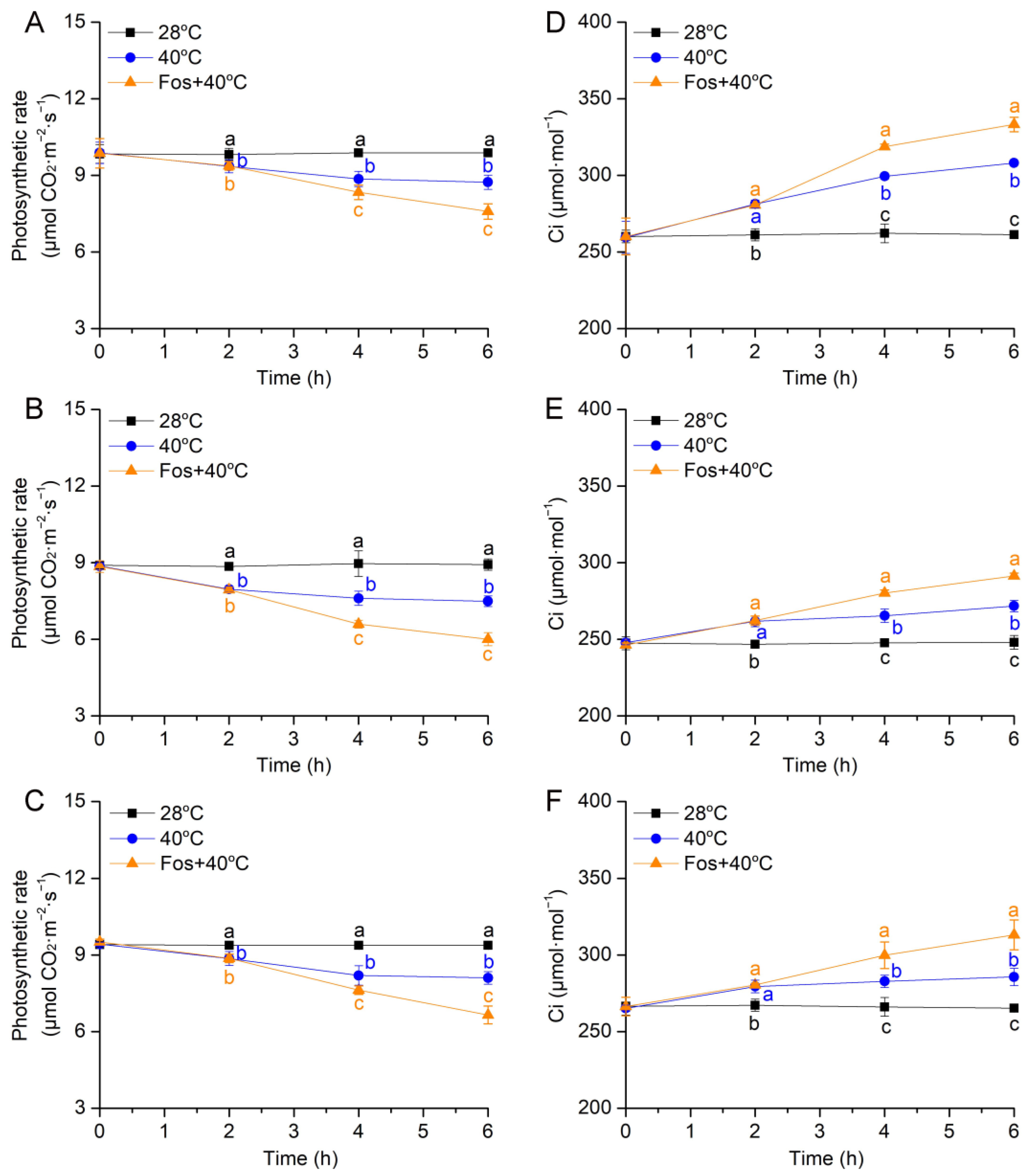 Forests 14 02005 g005