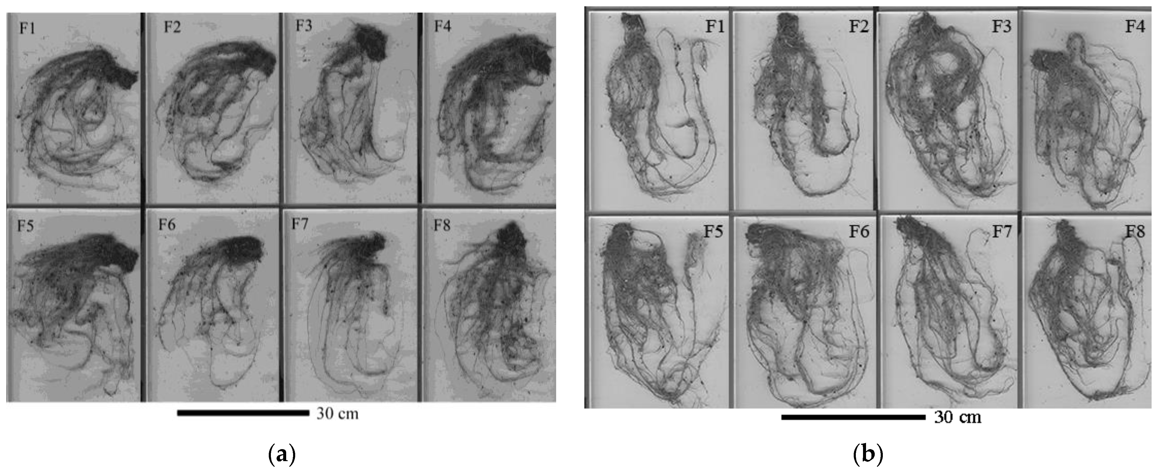 Forests 14 02013 g003 Forests 14 02013 g003