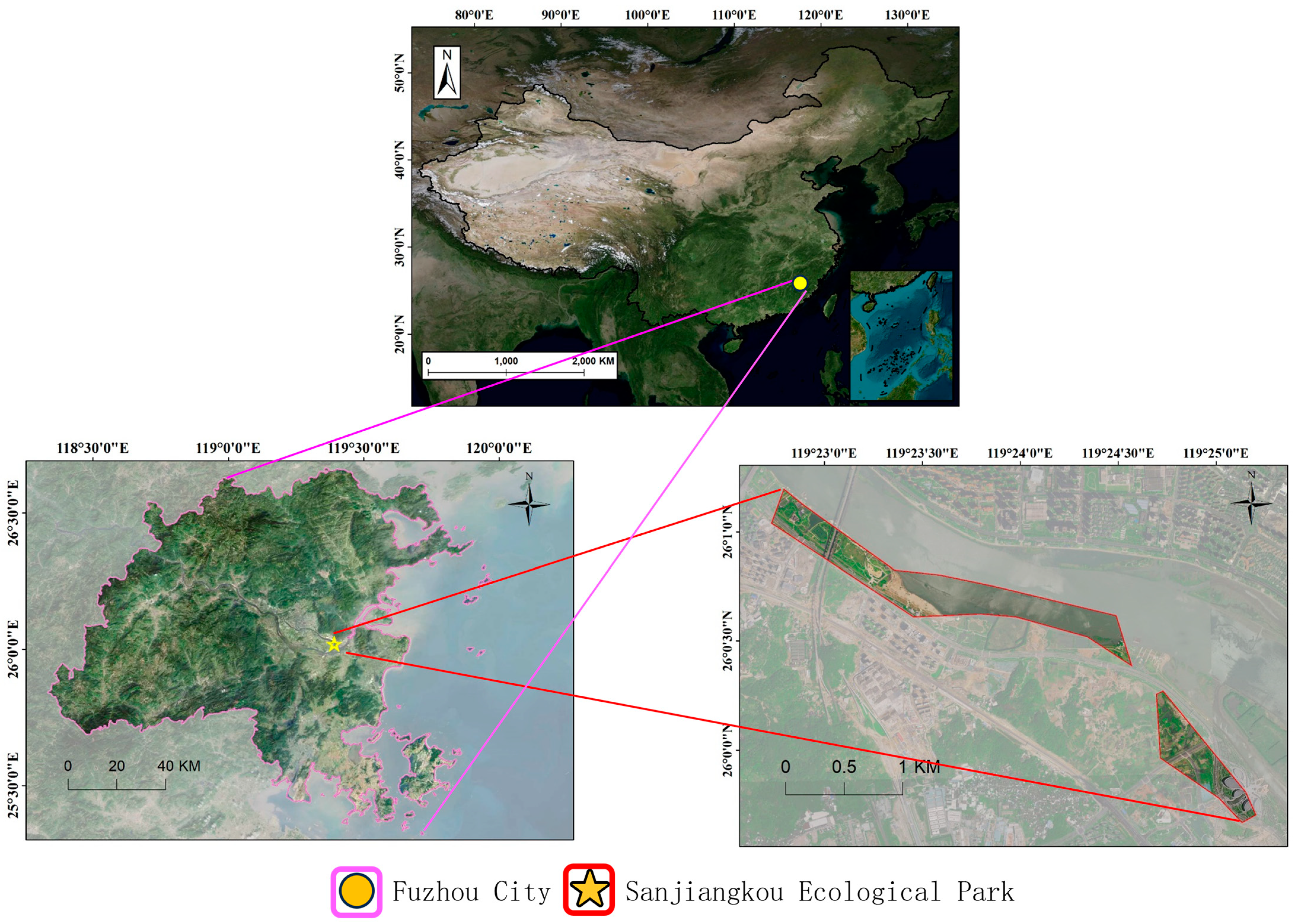 Forests 14 02014 g001