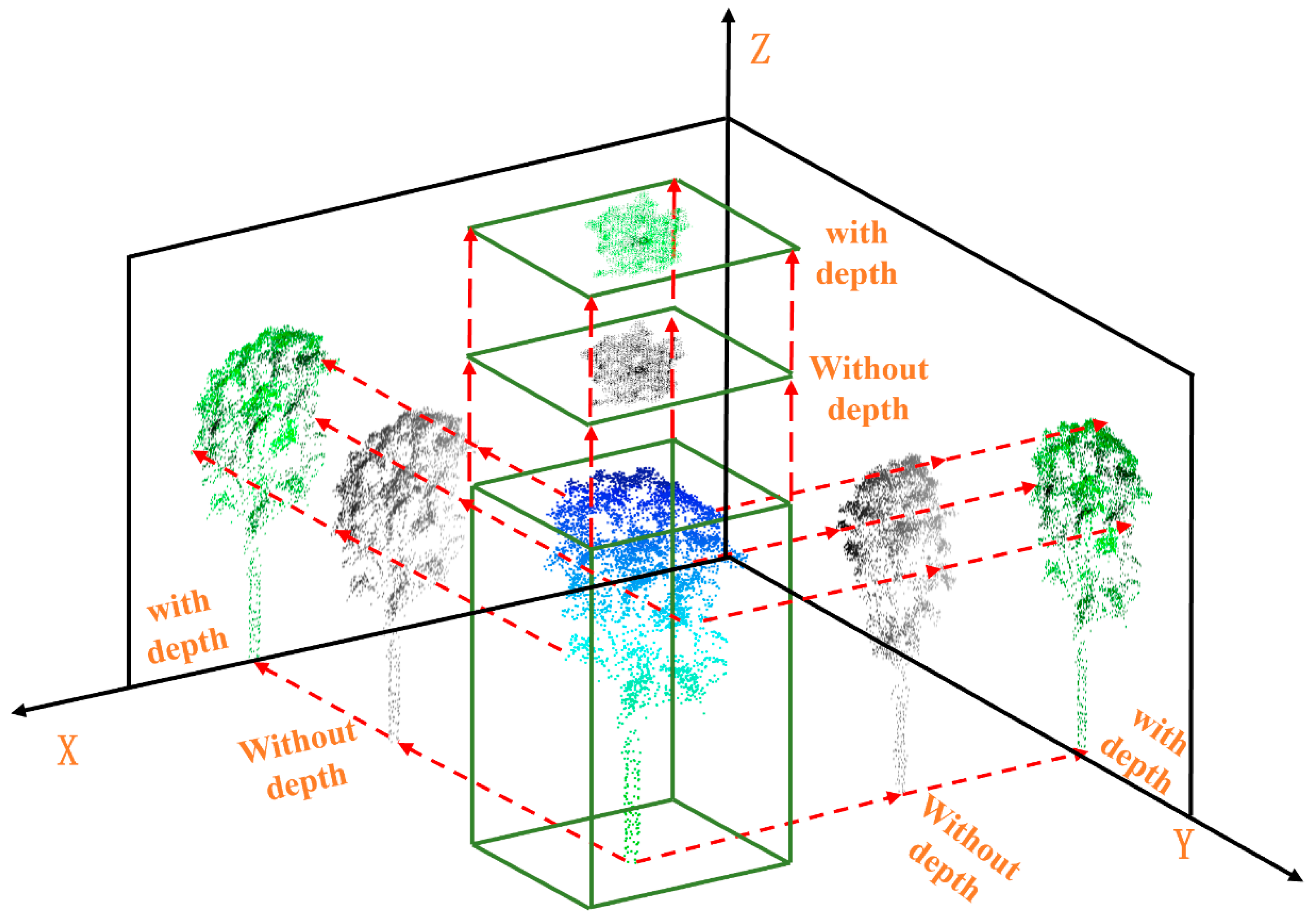 Forests 14 02014 g005