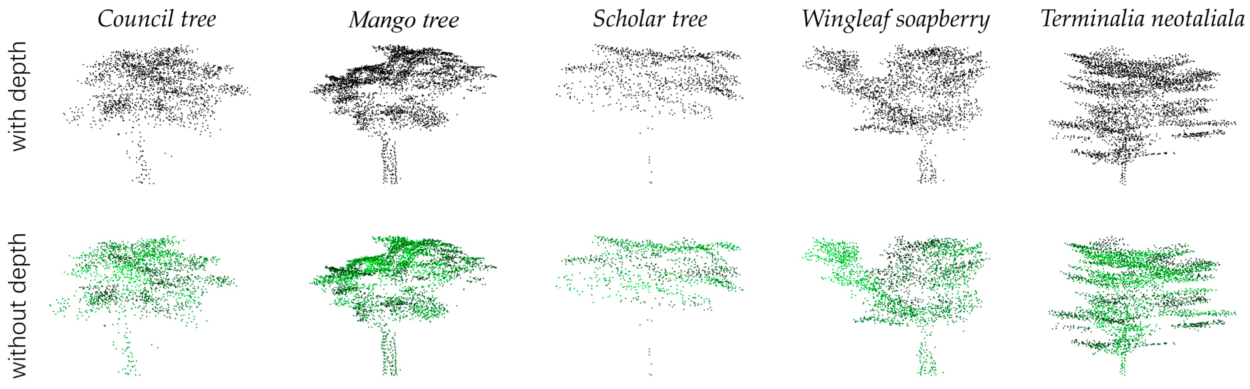 Forests 14 02014 g006