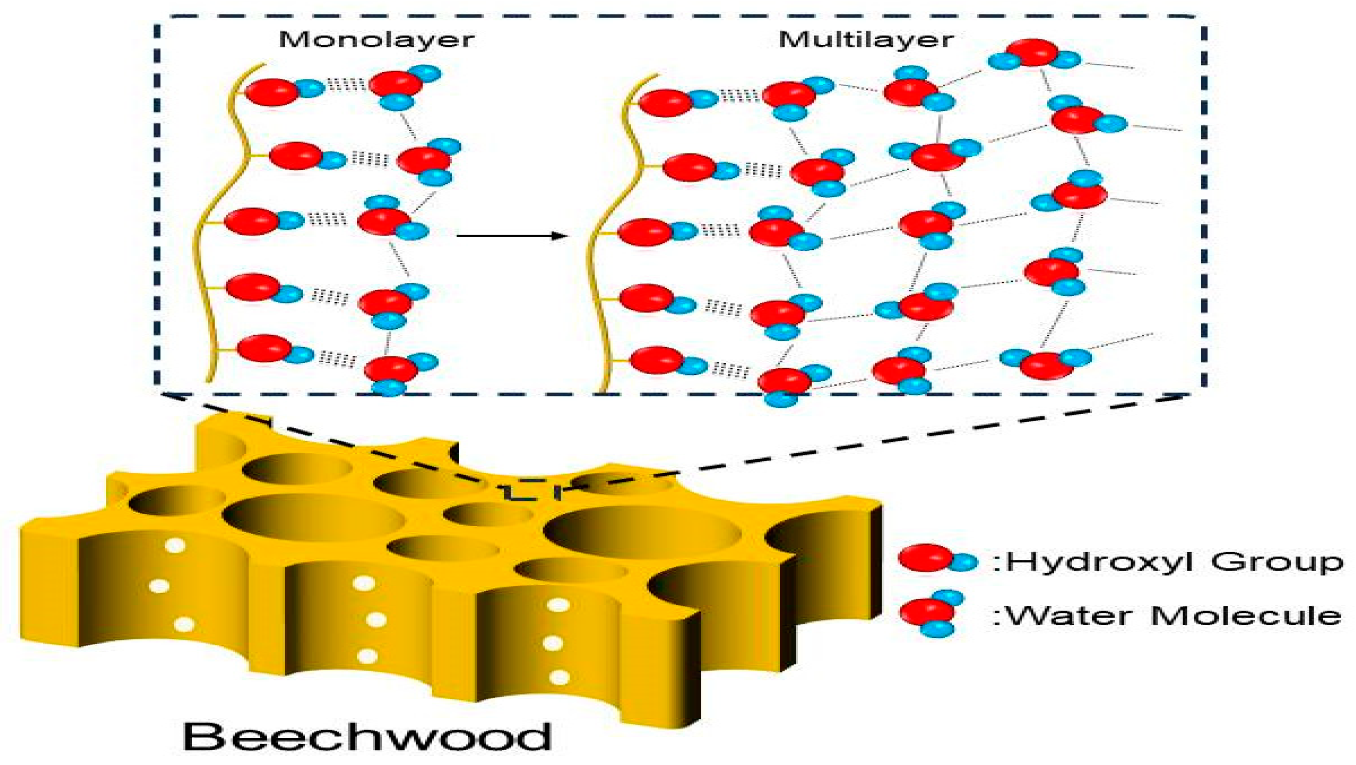 Forests 14 02015 g004 Forests 14 02015 g004