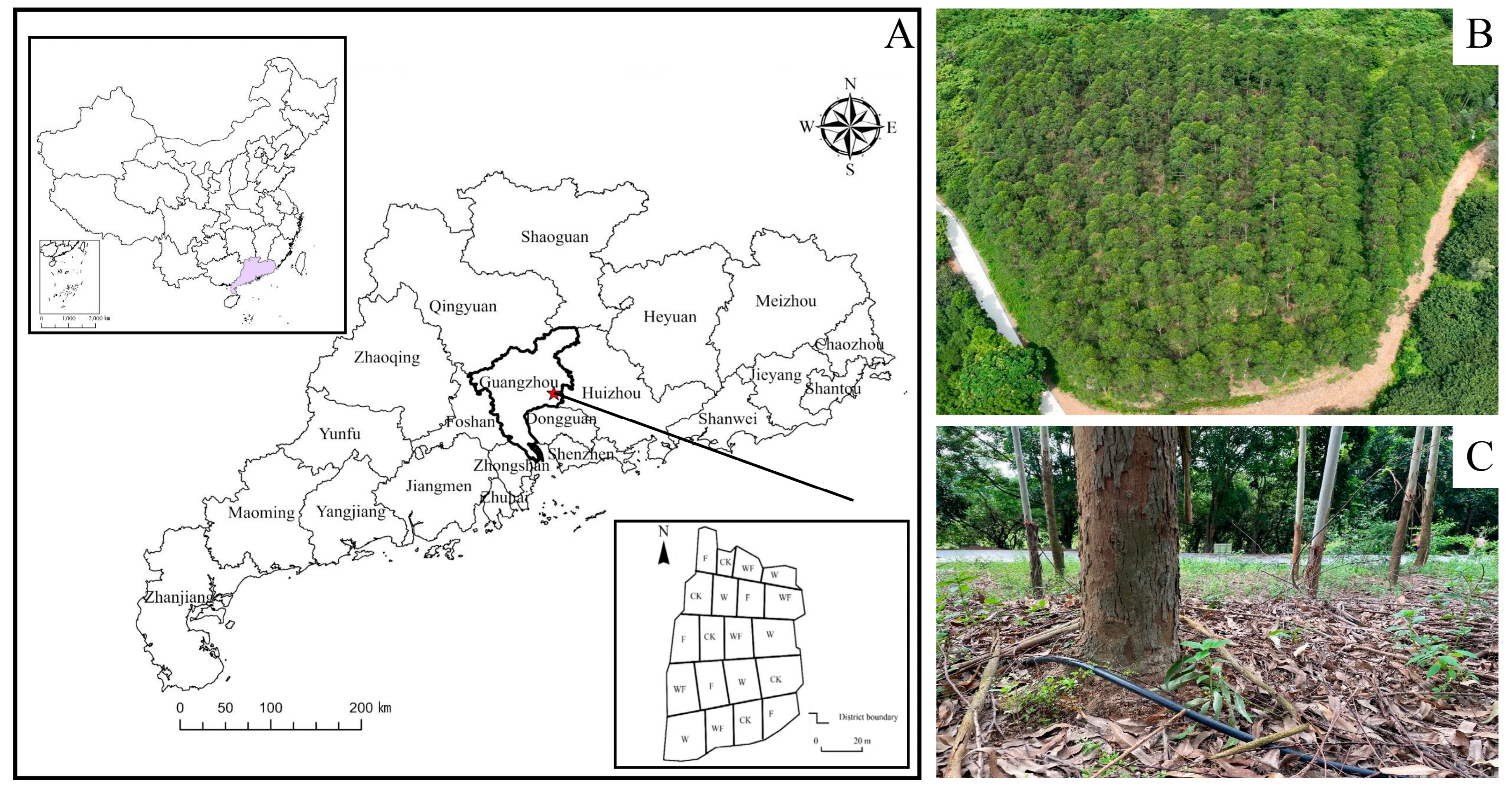 Forests 14 02017 g002