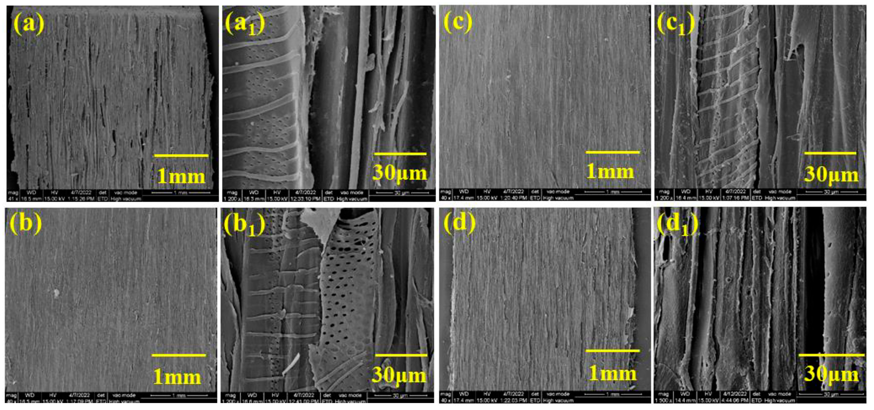 Forests 14 02018 g002 Forests 14 02018 g002