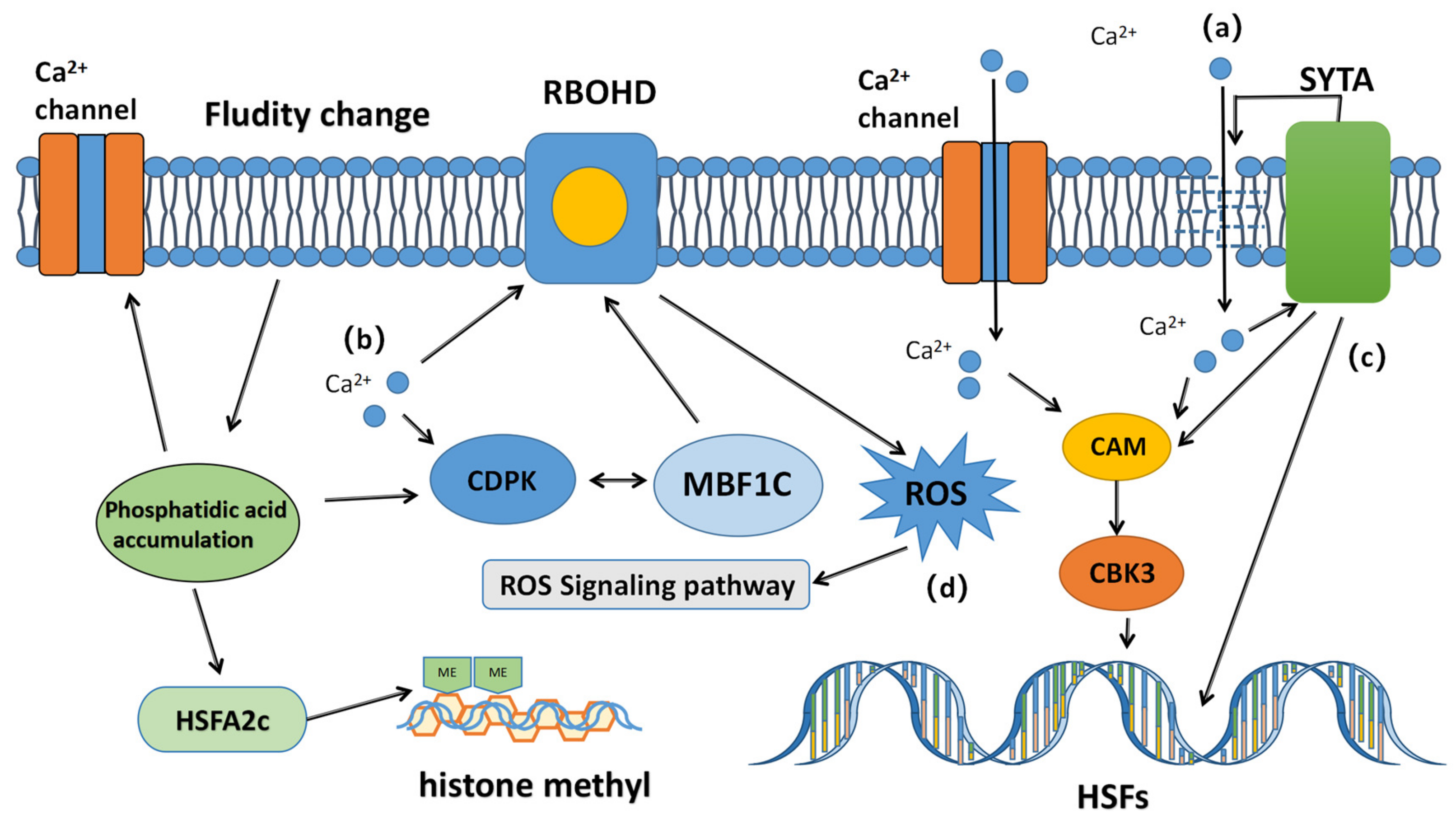 Forests 14 02026 g001