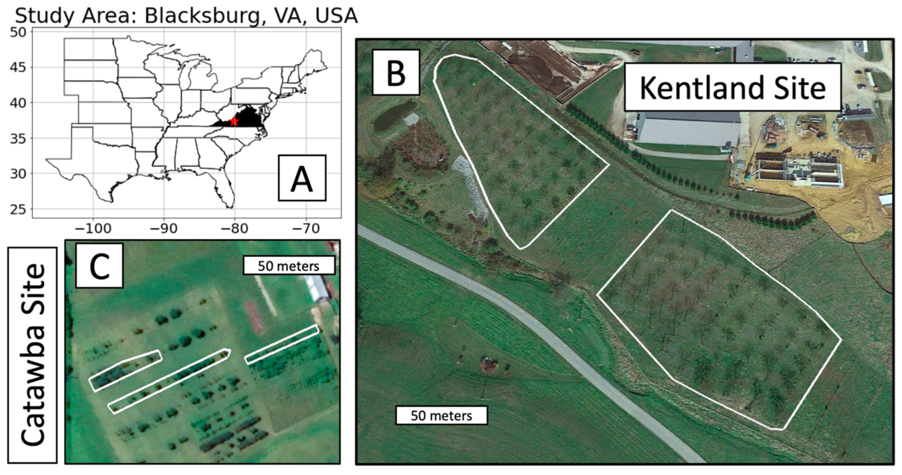 Forests 14 02027 g002