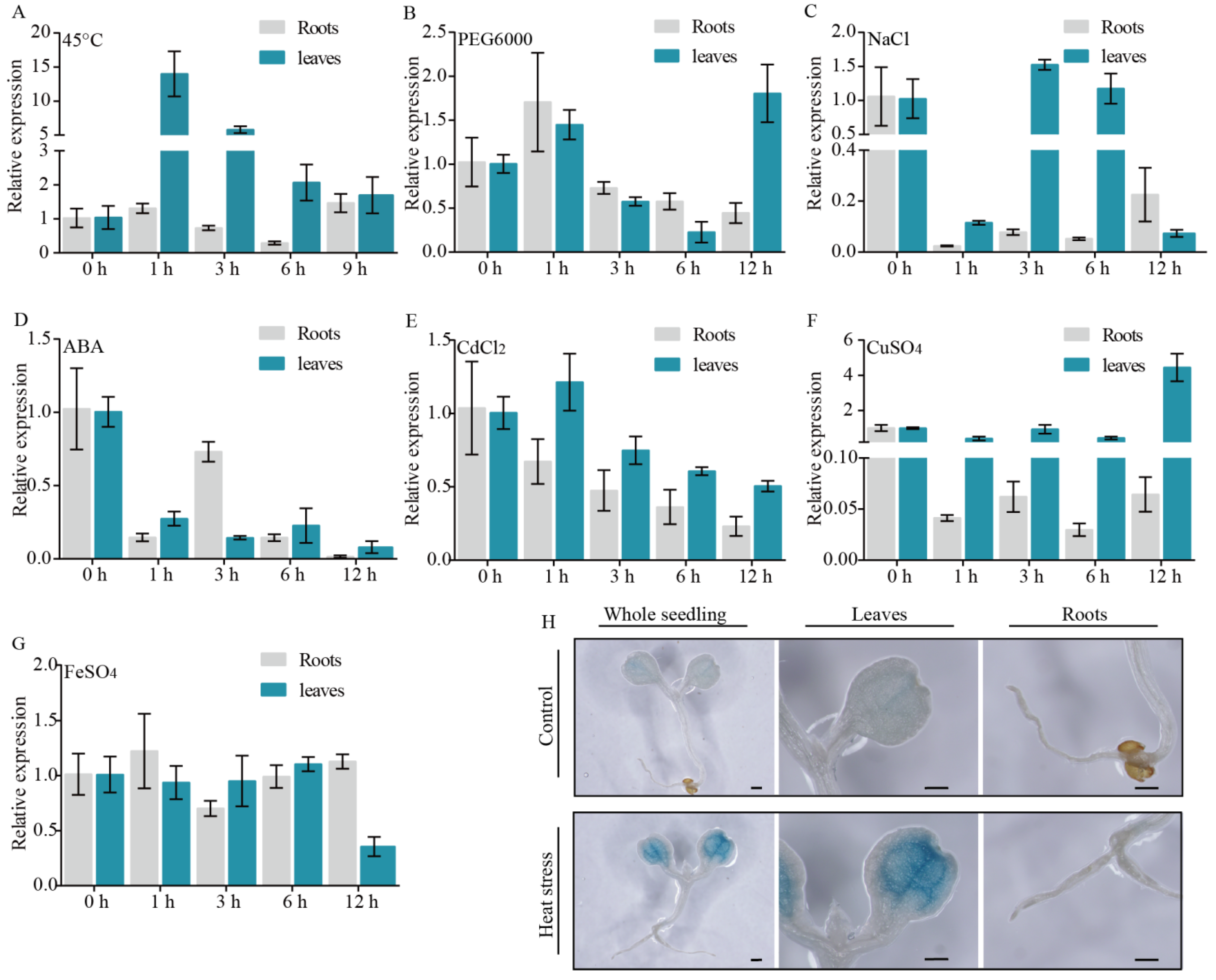 Forests 14 02028 g002