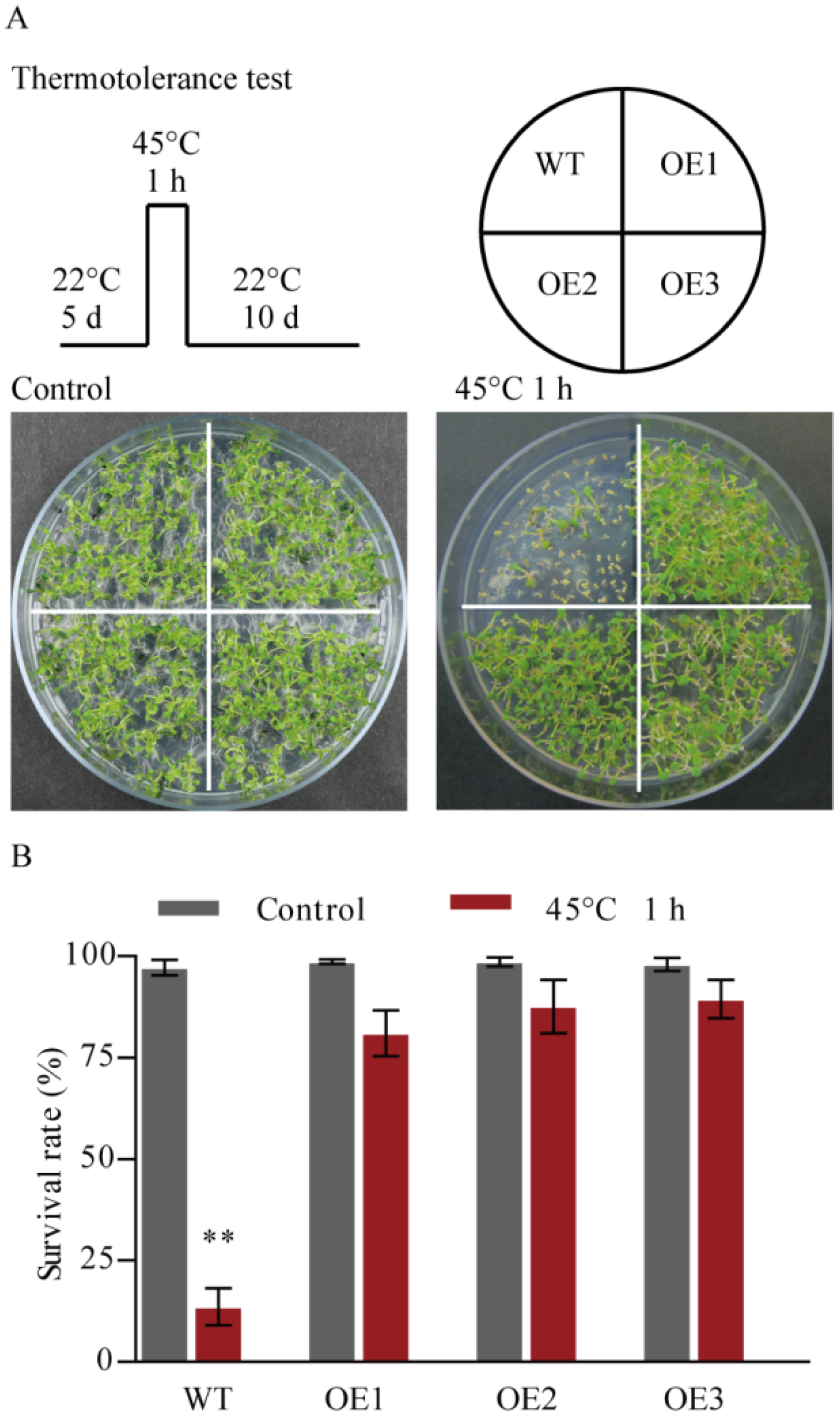 Forests 14 02028 g003