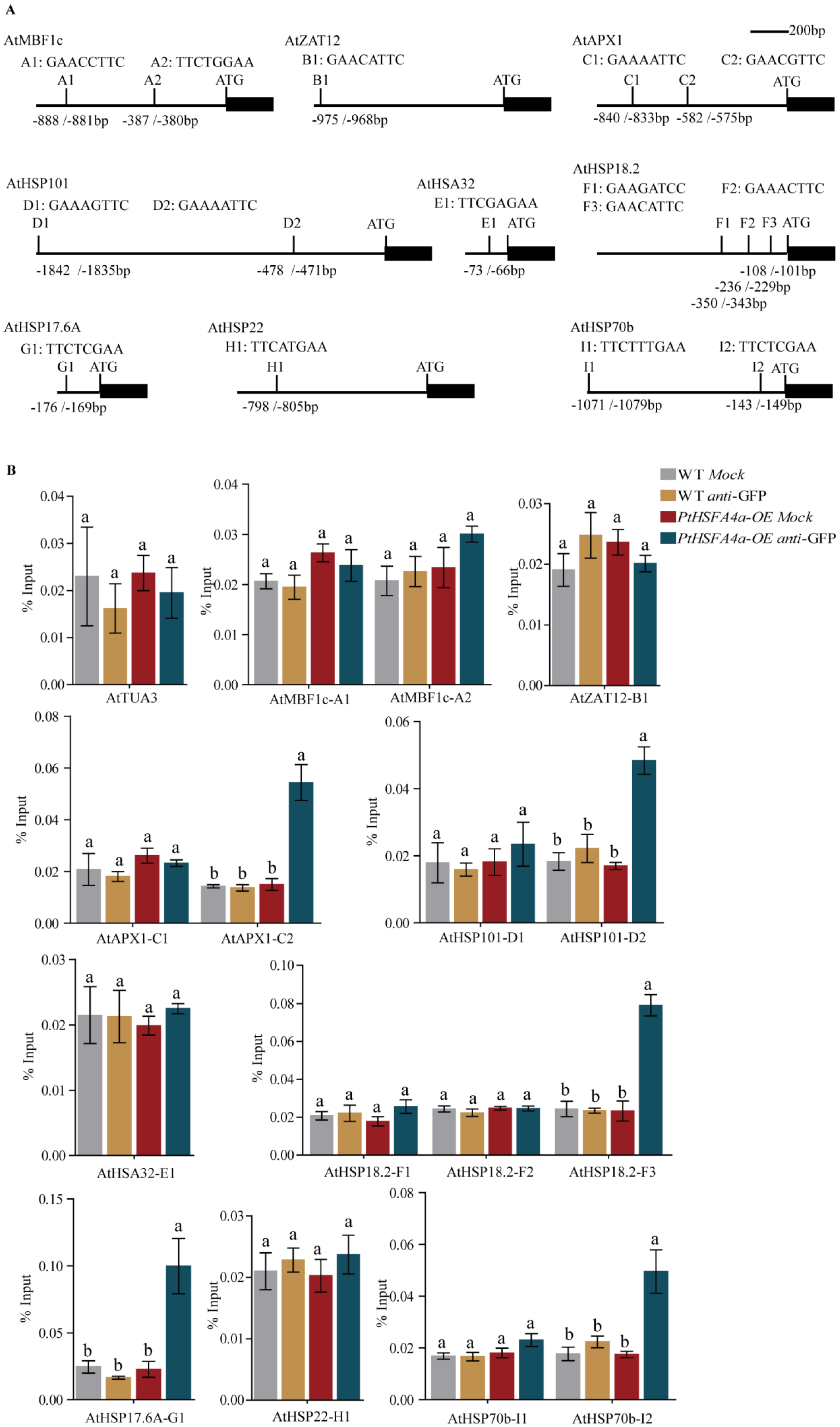 Forests 14 02028 g006