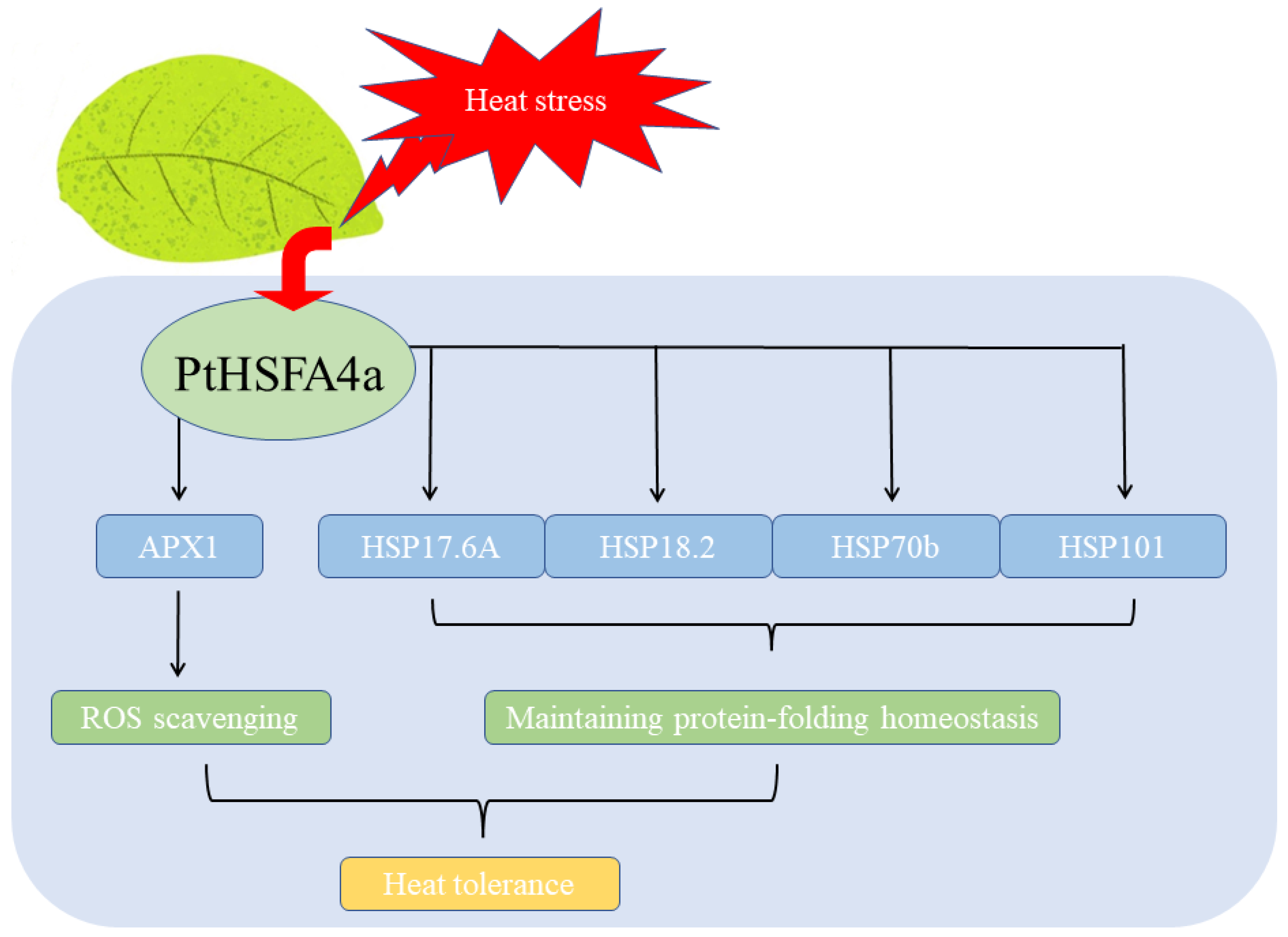 Forests 14 02028 g007
