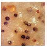 Forests 14 02029 i002