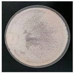 Forests 14 02029 i045