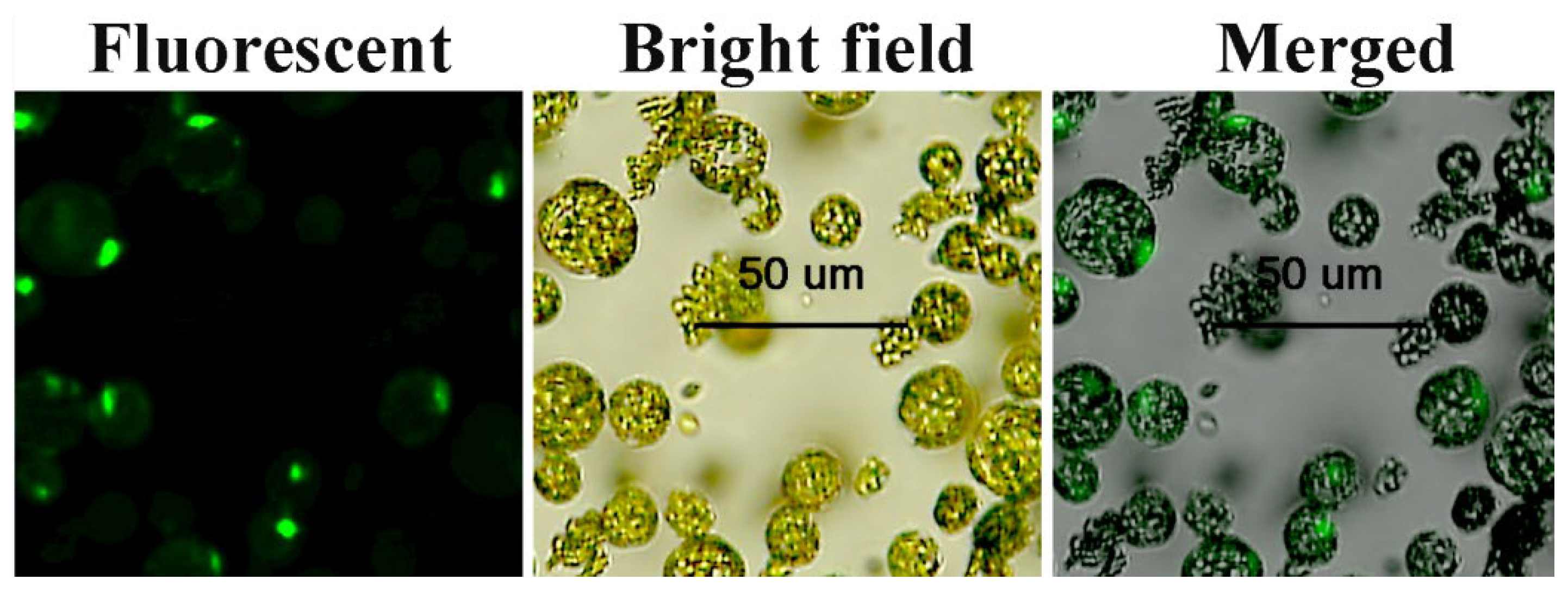 Forests 14 02039 g003