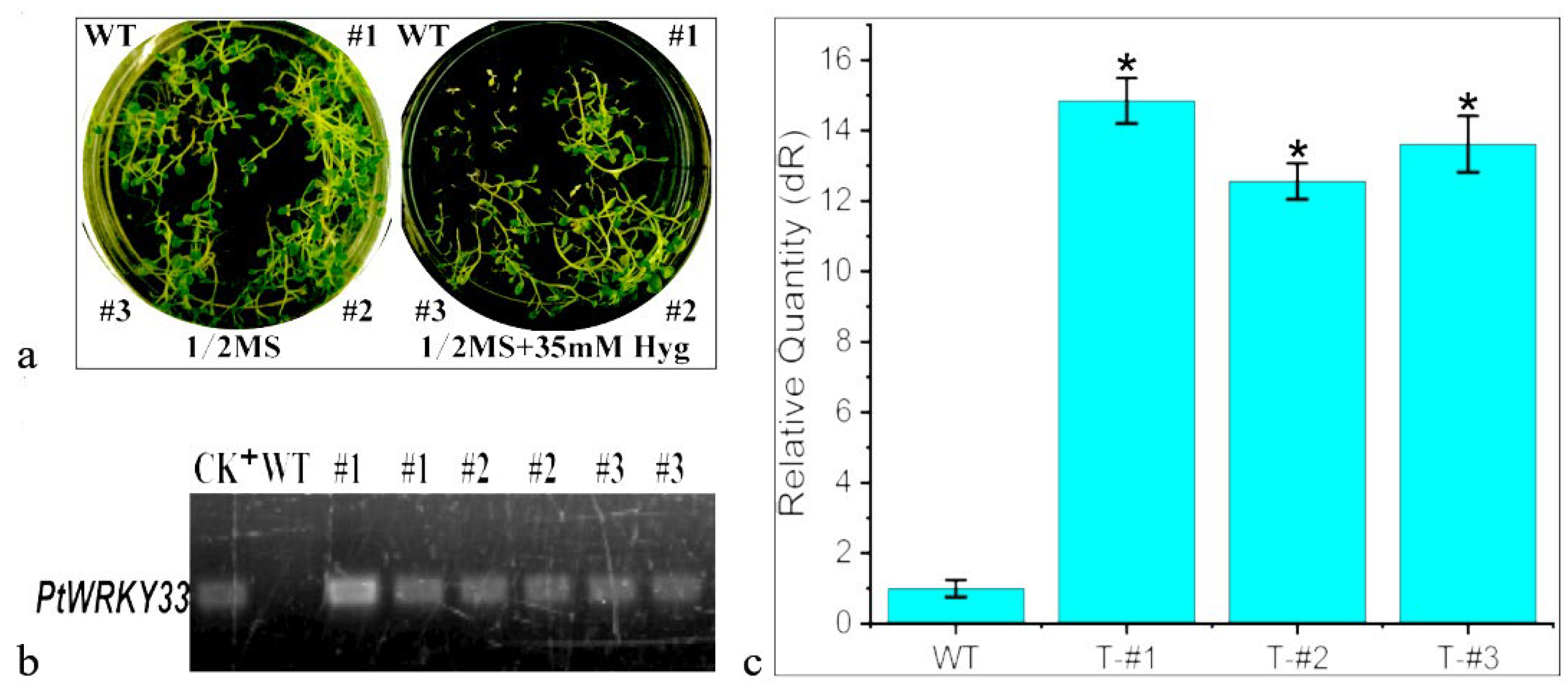 Forests 14 02039 g005