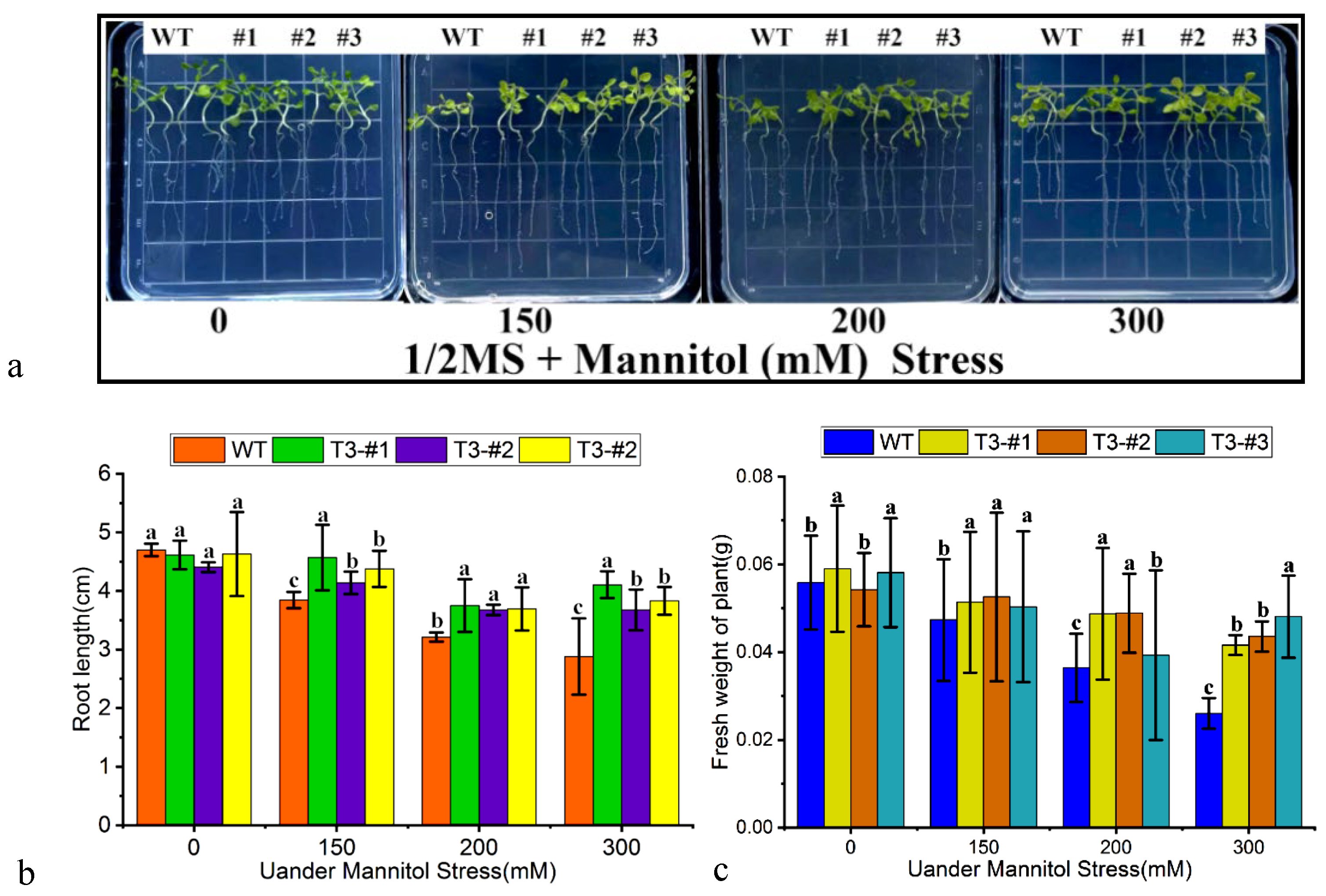 Forests 14 02039 g006