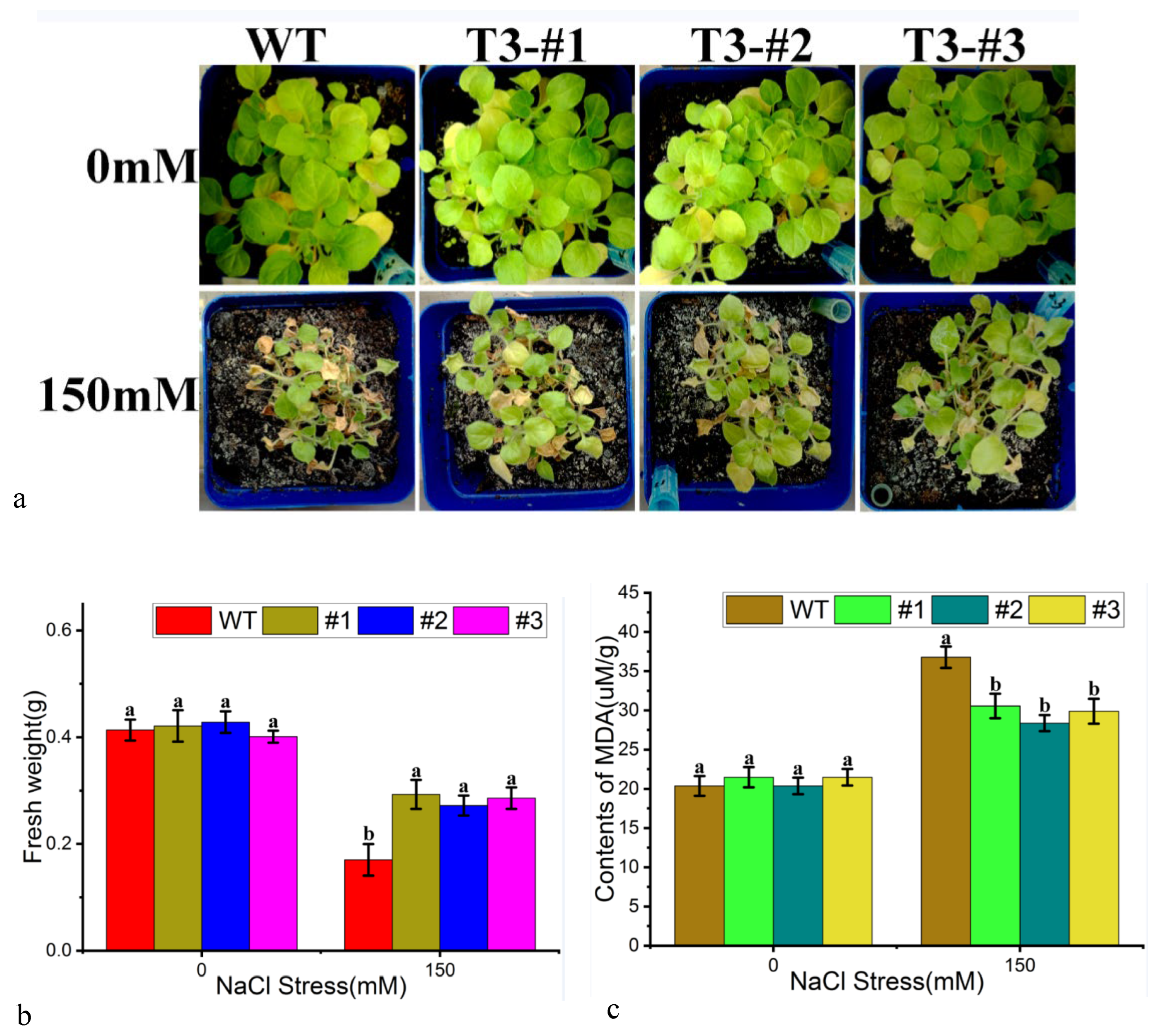 Forests 14 02039 g007