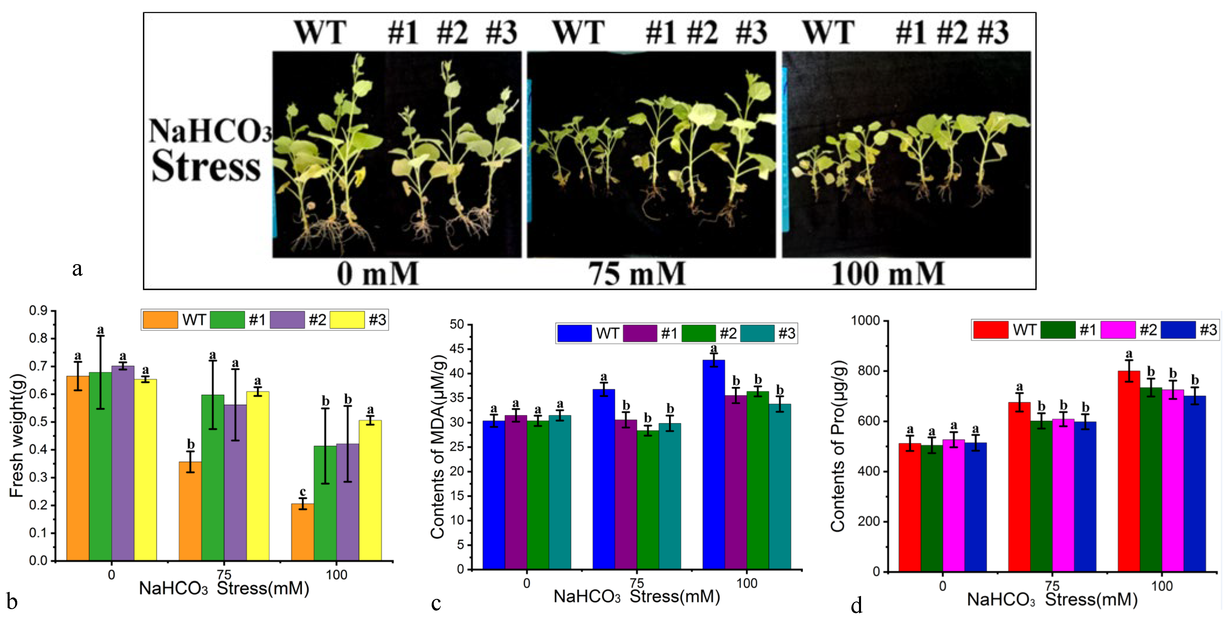 Forests 14 02039 g008