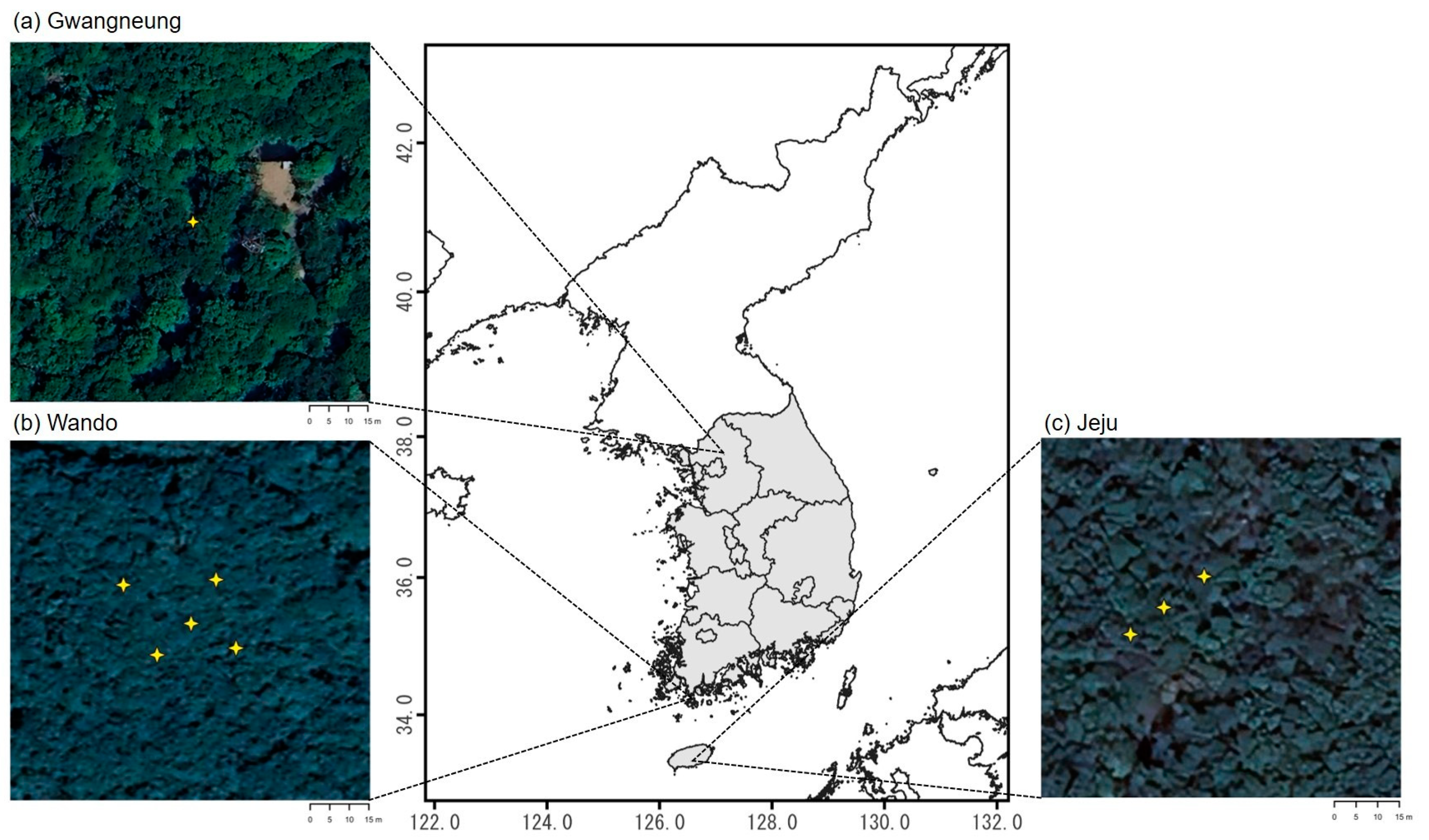 Forests 14 02047 g001