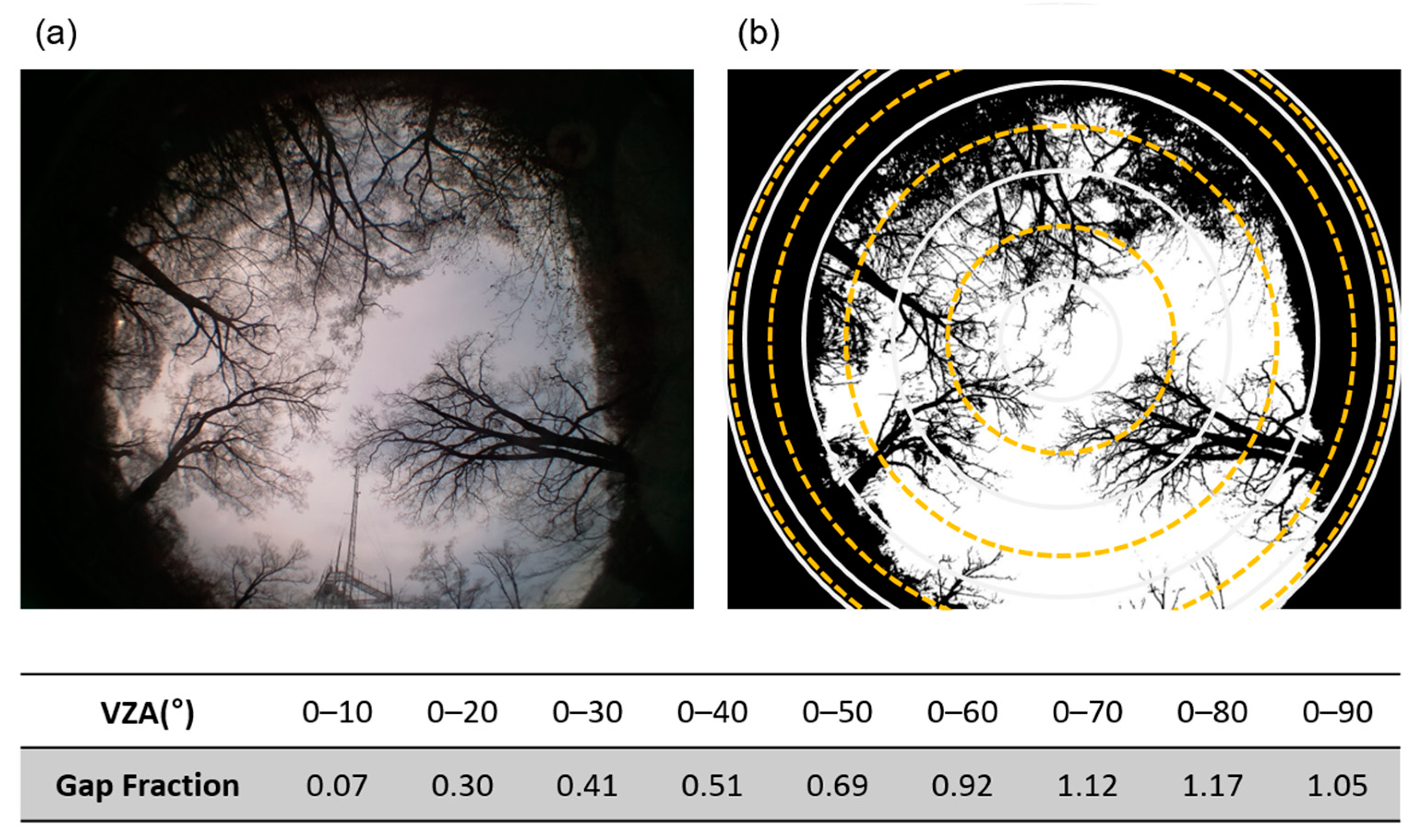 Forests 14 02047 g007