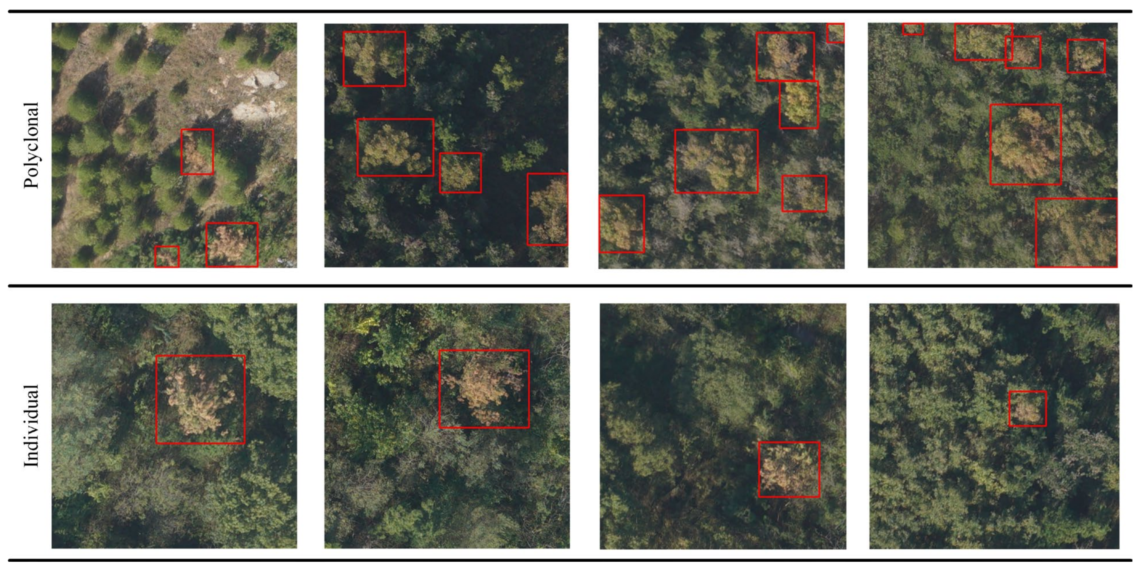 Forests 14 02052 g003 Forests 14 02052 g003